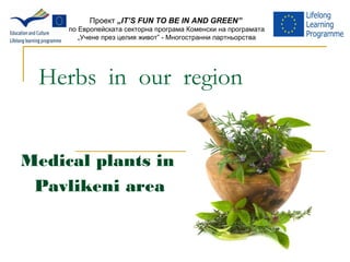 Herbs in our region
Medical plants in
Pavlikeni area
Проект „IT’S FUN TO BE IN AND GREEN”
по Европейската секторна програма Коменски на програмата
„Учене през целия живот” - Многостранни партньорства
 