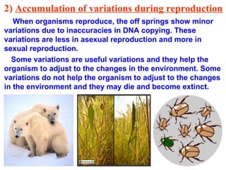 2) Accumulation of variations during reproduction
   When organisms reproduce, the off springs show minor
variations due to inaccuracies in DNA copying. These
variations are less in asexual reproduction and more in
sexual reproduction.
  Some variations are useful variations and they help the
organism to adjust to the changes in the environment. Some
variations do not help the organism to adjust to the changes
in the environment and they may die and become extinct.
 