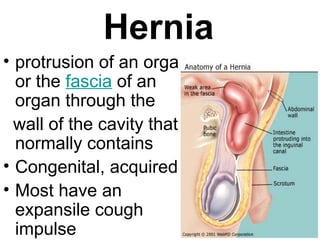 Hernia
• protrusion of an organ
or the fascia of an
organ through the
wall of the cavity that
normally contains
• Congenital, acquired
• Most have an
expansile cough
impulse
 