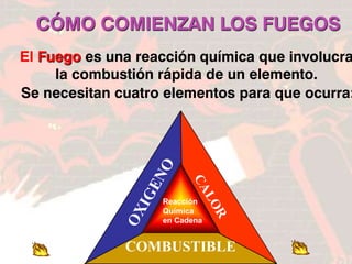 FIN
CÓMO COMIENZAN LOS FUEGOS
El Fuego es una reacción química que involucra
la combustión rápida de un elemento.
Se necesitan cuatro elementos para que ocurra:
C
A
L
O
R
O
X
I
G
E
N
O
COMBUSTIBLE
Reacción
Química
en Cadena
 