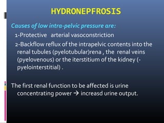 HYDRONEPFROSIS
Causes of low intra-pelvic pressure are:
1-Protective arterial vasoconstriction
2-Backflow reflux of the intrapelvic contents into the
renal tubules (pyelotubular)rena , the renal veins
(pyelovenous) or the iterstitium of the kidney (-
pyelointerstitial) .
The first renal function to be affected is urine
concentrating power  increasd urine output.
 