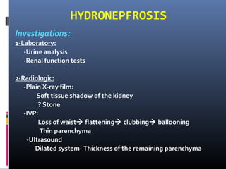 HYDRONEPFROSIS
Investigations:
1-Laboratory:
-Urine analysis
-Renal function tests
2-Radiologic:
-Plain X-ray film:
Soft tissue shadow of the kidney
? Stone
-IVP:
Loss of waist flattening clubbing ballooning
Thin parenchyma
-Ultrasound
Dilated system- Thickness of the remaining parenchyma
 