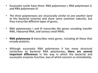 11 how cells read the genome :from DNA to Protein | PPTX