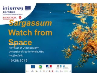 Sargassum
Watch from
SpaceChuanmin Hu
Professor of Oceanography
University of South Florida, USA
huc@usf.edu
10/28/2019
 