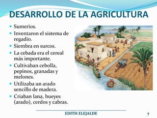 DESARROLLO DE LA AGRICULTURA
 Sumerios.
 Inventaron el sistema de
regadío.
 Siembra en surcos.
 La cebada era el cereal
más importante.
 Cultivaban cebolla,
pepinos, granadas y
melones.
 Utilizaba un arado
sencillo de madera.
 Criaban lana, bueyes
(arado), cerdos y cabras.
______________________________________________
EDITH ELEJALDE 7
 