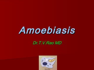 AmoebiasisAmoebiasis
Dr.T.V.Rao MDDr.T.V.Rao MD
 