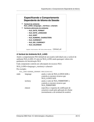 Especificando o Comportamento Dependente do Idioma
.....................................................................................................................................................




                 Especificando o Comportamento
                 Dependente de Idioma da Sessão
            •    Variável de ambiente:
                 NLS_LANG=<language>_<territory>.<charset>
            •    Variáveis adicionais de ambiente:
                         – NLS_DATE_FORMAT
                         – NLS_DATE_LANGUAGE
                         – NLS_SORT
                         – NLS_NUMERIC_CHARACTERS
                         – NLS_CURRENCY
                         – NLS_ISO_CURRENCY
                         – NLS_CALENDAR

                                                                                                        ®

                      Copyright  Oracle Corporation, 1999. Todos os direitos reservados.




A Variável de Ambiente NLS_LANG
Anule o comportamento NLS default de um usuário individual com a variável de
ambiente NLS_LANG. O valor de NLS_LANG anula quaisquer valores dos
parâmetros de inicialização NLS.
Cada componente controla um subconjunto de recursos NLS:
NLS_LANG=<language>_<territory>.<charset>
Por exemplo:
      NLS_LANG=GERMAN_GERMANY.WE8ISO8859P1
onde:              language                                   anula o valor de NLS_LANGUAGE e
                                                              controla os mesmos recursos que
                                                              NLS_LANGUAGE
                   territory                                  anula o valor de NLS_TERRITORY e
                                                              controla os mesmos recursos que
                                                              NLS_TERRITORY
                   charset                                    especifica o esquema de codificação de
                                                              caracteres usado pela aplicação do cliente
                                                              (normalmente a do terminal do usuário)




.....................................................................................................................................................
Enterprise DBA Parte 1A: Administração e Arquitetura                                                                                       20-15
 