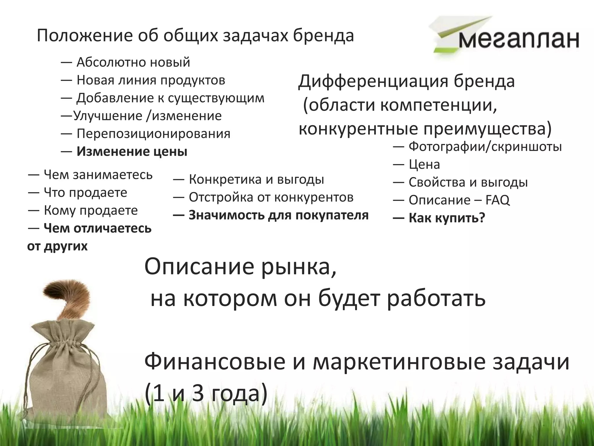 Положение об общих задачах бренда
    — Абсолютно новый
    — Новая линия продуктов          Дифференциация бренда
    — Добавление к существующим
    —Улучшение /изменение
                                     (области компетенции,
    — Перепозиционирования           конкурентные преимущества)
    — Изменение цены                              — Фотографии/скриншоты
                                                  — Цена
— Чем занимаетесь   — Конкретика и выгоды         — Свойства и выгоды
— Что продаете      — Отстройка от конкурентов    — Описание – FAQ
— Кому продаете     — Значимость для покупателя   — Как купить?
— Чем отличаетесь
от других
               Описание рынка,
               на котором он будет работать

               Финансовые и маркетинговые задачи
               (1 и 3 года)
 