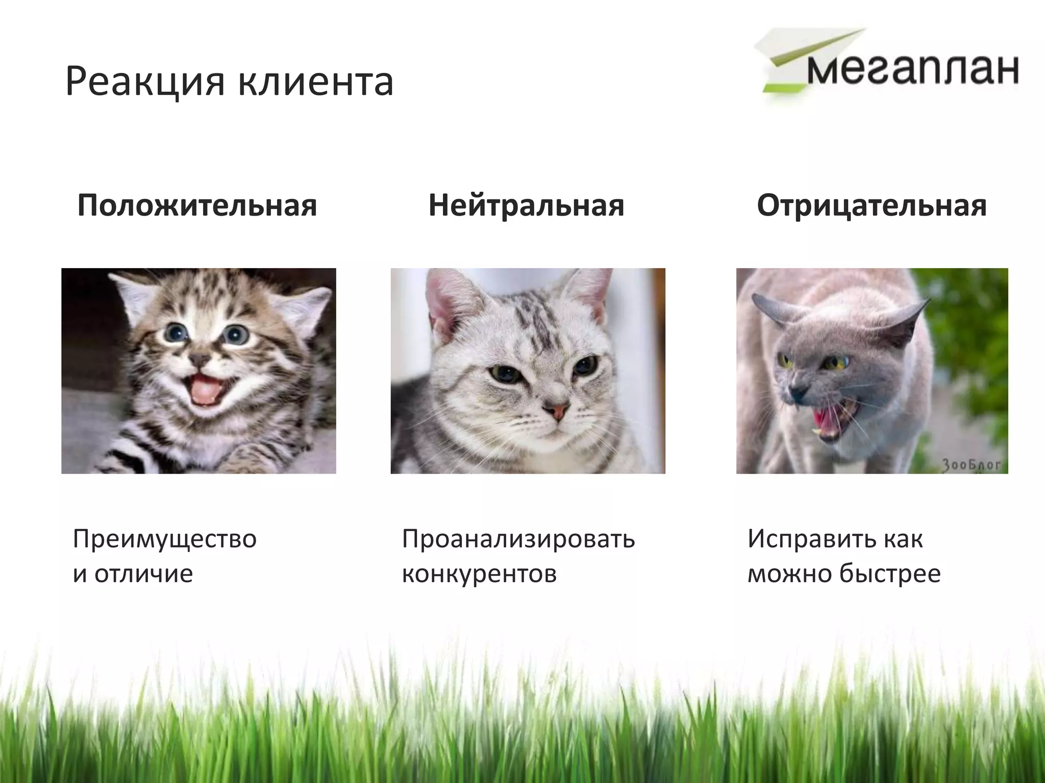 Реакция клиента

Положительная      Нейтральная       Отрицательная




Преимущество      Проанализировать   Исправить как
и отличие         конкурентов        можно быстрее
 