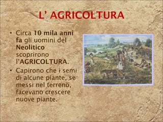L’ AGRICOLTURA Circa  10 mila anni fa  gli uomini del  Neolitico  scoprirono l’ AGRICOLTURA .  Capirono che i semi di alcune piante, se messi nel terreno, facevano crescere nuove piante. 