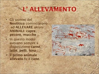 L’ ALLEVAMENTO Gli uomini del  Neolitico  cominciarono  ad  ALLEVARE  alcuni  ANIMALI :  capre ,  pecore ,  mucche  …  In questo modo avevano sempre a disposizione  carne ,  latte ,  pelli ,  lana  … Il  primo animale allevato  fu il  cane . 