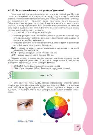 131
12.12. Як людина бачить кольорове зображення?
Рецептори, які реагують на світло, містяться на сітківці ока. Від них
сигнал через зоровий нерв потрапляє до центру зору в мозку. За законами
оптики, зображення виникає на сітківці, але з погляду свідомості — у мозку.
Це твердження хоч і банальне, однак спричиняє багато наслідків.
Зображення, яке виникає на сітківці і далі передається до мозку, недо
сконале. У мозку відбувається його корекція: найвідомішим є заповнення
поля зору в ділянці сліпої плями. Відчуття кольору відбувається в мозку,
світлові хвилі цієї здатності не мають.
На сітківці містяться дві групи рецепторів:
палички реагують на слабке світло, містять родопсин — очний пур
пур, при сильному світлі не виконують практичної ролі; завдяки їм
виникає чорно біле зображення,
колбочки реагують на інтенсивне світло. Кожен із трьох їх різновидів
(ρ, γ, β) містить один із трьох барвників:
SWS — реагує на короткі хвилі, максимальна чутливість — на хвилі
довжиною близько 420 нм;
MWS — реагує на середні хвилі, близько 530 нм;
LWS — реагує на довгі хвилі, близько 560 нм.
Відчуття кольору в мозку людини виникає внаслідок різного ступеня
збудження окремих рецепторів. У результаті теоретичних і емпіричних
досліджень відібрано дві групи кольорів. Ними є:
RGB (Red, Green, Blue/червоний, зелений, синій);
CMY (Сyan, Magenta, Yellow/блакитний, пурпурний, жовтий).
У колі кольорів (мал. 12.19) можна здійснювати незначні зміни
розміщення кольорів відносно їх положення у спектрі. Змішуючи кольори
однієї (RGB) чи другої групи (CMY), можна отримати кольори різних
відтінків. Усі кольори, які є в колі кольорів, називаються чистими кольо
рами.
1 нм = 10–9 м
Мал. 12.19
 