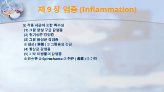 제 9 장 염증 (Inflammation)
5) 각종 세균에 의한 특수성
(1) 그람 양성 구균 감염증
(2) 혐기성균 감염증
(3) 그람 음성균 감염증
➀ 임균 ( 淋菌 ) ➁ 그람음성 간균
(4) 항산균 감염증
(5) 기타 미생물의 감염증
➀ 방선균 ➁ Spirochaeta ➂ 진균 ( 眞菌 ) ➃ 기타
 