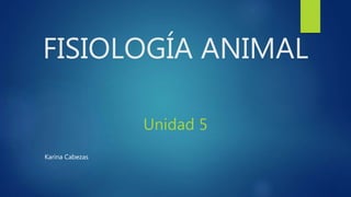 FISIOLOGÍA ANIMAL
Unidad 5
Karina Cabezas
 