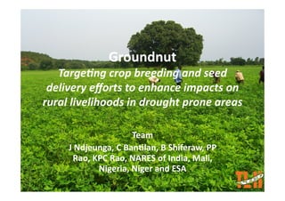 Groundnut 
   Targe&ng crop breeding and seed 
 delivery eﬀorts to enhance impacts on 
rural livelihoods in drought prone areas 

                     Team 
     J Ndjeunga, C Ban4lan, B Shiferaw, PP 
      Rao, KPC Rao, NARES of India, Mali, 
            Nigeria, Niger and ESA 
 