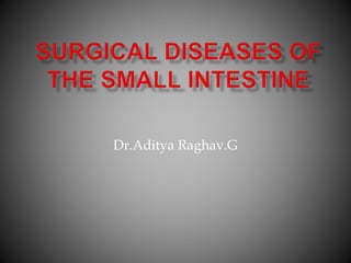 Dr.Aditya Raghav.G
 