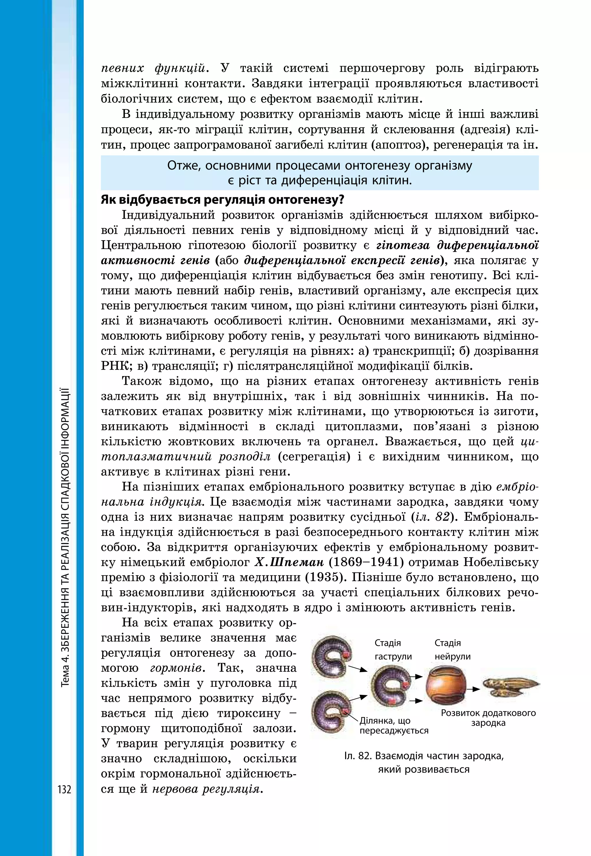 Тема4.ЗБЕРЕЖЕННЯТАРЕАЛІЗАЦІЯСПАДКОВОЇІНФОРМАЦІЇ
132
певних функцій. У такій системі першочергову роль відіграють
міжклітинні контакти. Завдяки інтеграції проявляються властивості
біологічних систем, що є ефектом взаємодії клітин.
В індивідуальному розвитку організмів мають місце й інші важливі
процеси, як-то міграції клітин, сортування й склеювання (адгезія) клі-
тин, процес запрограмованої загибелі клітин (апоптоз), регенерація та ін.
Отже, основними процесами онтогенезу організму
є ріст та диференціація клітин.
Як відбувається регуляція онтогенезу?
Індивідуальний розвиток організмів здійснюється шляхом вибірко-
вої діяльності певних генів у відповідному місці й у відповідний час.
Центральною гіпотезою біології розвитку є гіпотеза диференціальної
активності генів (або диференціальної експресії генів), яка полягає у
тому, що диференціація клітин відбувається без змін генотипу. Всі клі-
тини мають певний набір генів, властивий організму, але експресія цих
генів регулюється таким чином, що різні клітини синтезують різні білки,
які й визначають особливості клітин. Основними механізмами, які зу-
мовлюють вибіркову роботу генів, у результаті чого виникають відмінно-
сті між клітинами, є регуляція на рівнях: а) транскрипції; б) дозрівання
РНК; в) трансляції; г) післятрансляційної модифікації білків.
Також відомо, що на різних етапах онтогенезу активність генів
залежить як від внутрішніх, так і від зовнішніх чинників. На по-
чаткових етапах розвитку між клітинами, що утворюються із зиготи,
виникають відмінності в складі цитоплазми, пов’язані з різною
кількістю жовткових включень та органел. Вважається, що цей ци­
топлазматичний розподіл (сегрегація) і є вихідним чинником, що
активує в клітинах різні гени.
На пізніших етапах ембріонального розвитку вступає в дію ембріо­
нальна індукція. Це взаємодія між частинами зародка, завдяки чому
одна із них визначає напрям розвитку сусідньої (іл. 82). Ембріональ-
на індукція здійснюється в разі безпосереднього контакту клітин між
собою. За відкриття організуючих ефектів у ембріональному розвит-
ку німецький ембріолог Х. Шпеман (1869–1941) отримав Нобелівську
премію з фізіології та медицини (1935). Пізніше було встановлено, що
ці взаємовпливи здійснюються за участі спеціальних білкових речо-
вин-індукторів, які надходять в ядро і змінюють активність генів.
На всіх етапах розвитку ор-
ганізмів велике значення має
регуляція онтогенезу за допо-
могою гормонів. Так, значна
кількість змін у пуголовка під
час непрямого розвитку відбу-
вається під дією тироксину –
гормону щитоподібної залози.
У тварин регуляція розвитку є
значно складнішою, оскільки
окрім гормональної здійснюєть-
ся ще й нервова регуляція.
Розвиток додаткового
зародкаДілянка, що
пересаджується
Стадія
нейрули
Стадія
гаструли
Іл. 82. Взаємодія частин зародка,
який розвивається
 