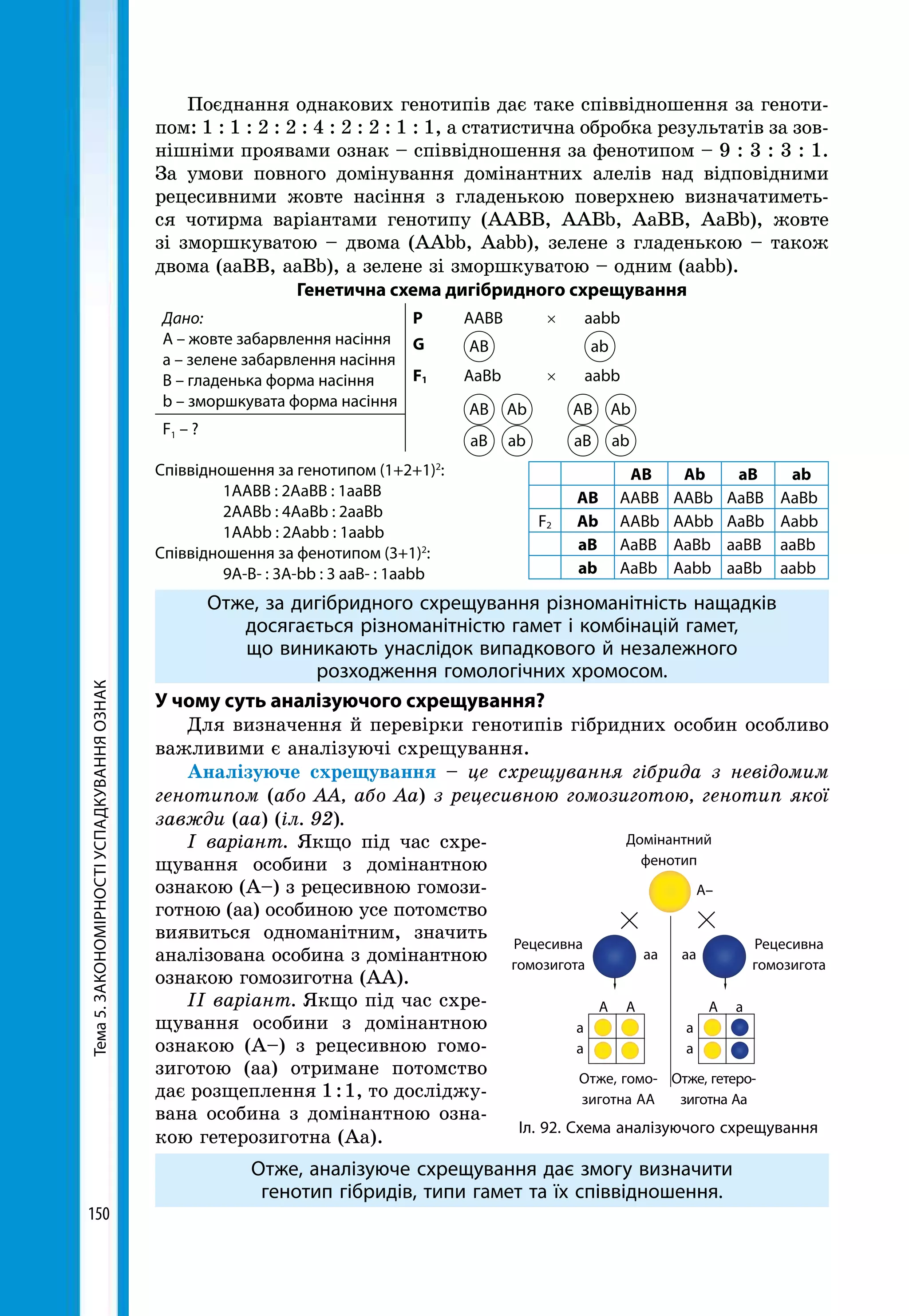 Тема5.ЗАКОНОМІРНОСТІУСПАДКУВАННЯОЗНАК
150
Поєднання однакових генотипів дає таке співвідношення за геноти-
пом: 1 : 1 : 2 : 2 : 4 : 2 : 2 : 1 : 1, а статистична обробка результатів за зов­
нішніми проявами ознак – співвідношення за фенотипом – 9 : 3 : 3 : 1.
За умови повного домінування домінантних алелів над відповідними
рецесивними жовте насіння з гладенькою поверхнею визначатиметь-
ся чотирма варіантами генотипу (ААВВ, ААВb, АаВВ, АаВb), жовте
зі зморшкуватою – двома (ААbb, Ааbb), зелене з гладенькою – також
двома (ааВВ, ааВb), а зелене зі зморшкуватою – одним (ааbb).
Генетична схема дигібридного схрещування
Дано:
А – жовте забарвлення насіння
а – зелене забарвлення насіння
В – гладенька форма насіння
b – зморшкувата форма насіння
Р	ААBB	 ×	ааbb
G	 АB 		аb
F1	 АaBb	 ×	ааbb
	 АB Аb 	 АB Аb
	 aB ab 	 aB ab
F1 – ?
Співвідношення за генотипом (1+2+1)2
:
	 1ААВВ : 2АаВВ : 1ааВВ
	 2ААВb : 4АаВb : 2ааВb
	 1ААbb : 2Ааbb : 1ааbb
Співвідношення за фенотипом (3+1)2
:
	 9А-В- : 3А-bb : 3 ааВ- : 1ааbb
Отже, за дигібридного схрещування різноманітність нащадків
досягається різноманітністю гамет і комбінацій гамет,
що виникають унаслідок випадкового й незалежного
розходження гомологічних хромосом.
У чому суть аналізуючого схрещування?
Для визначення й перевірки генотипів гібридних особин особливо
важливими є аналізуючі схрещування.
Аналізуюче схрещування – це схрещування гібрида з невідомим
генотипом (або АА, або Аа) з рецесивною гомозиготою, генотип якої
завжди (аа) (іл. 92).
І варіант. Якщо під час схре-
щування особини з домінантною
ознакою (А–) з рецесивною гомози-
готною (аа) особиною усе потомство
виявиться одноманітним, значить
аналізована особина з домінантною
ознакою гомозиготна (АА).
II варіант. Якщо під час схре-
щування особини з домінантною
ознакою (А–) з рецесивною гомо-
зиготою (аа) отримане потомство
дає розщеплення 1 : 1, то досліджу-
вана особина з домінантною озна-
кою гетерозиготна (Аа).
Отже, аналізуюче схрещування дає змогу визначити
генотип гібридів, типи гамет та їх співвідношення.
АВ Аb аВ аb
АВ ААВВ ААВb АаВВ АаВb
F2 Аb ААВb ААbb АаВb Ааbb
аВ АаВВ АаВb ааВВ ааВb
аb АаВb Ааbb ааВb ааbb
Отже, гомо­
зиготна АА
Рецесивна
гомозигота
Рецесивна
гомозигота
Домінантний
фенотип
аа
а
а
А А
А–
А а
а
а
аа
Отже, гете­ро­
зиготна Аа
Іл. 92. Схема аналізуючого схрещування
 