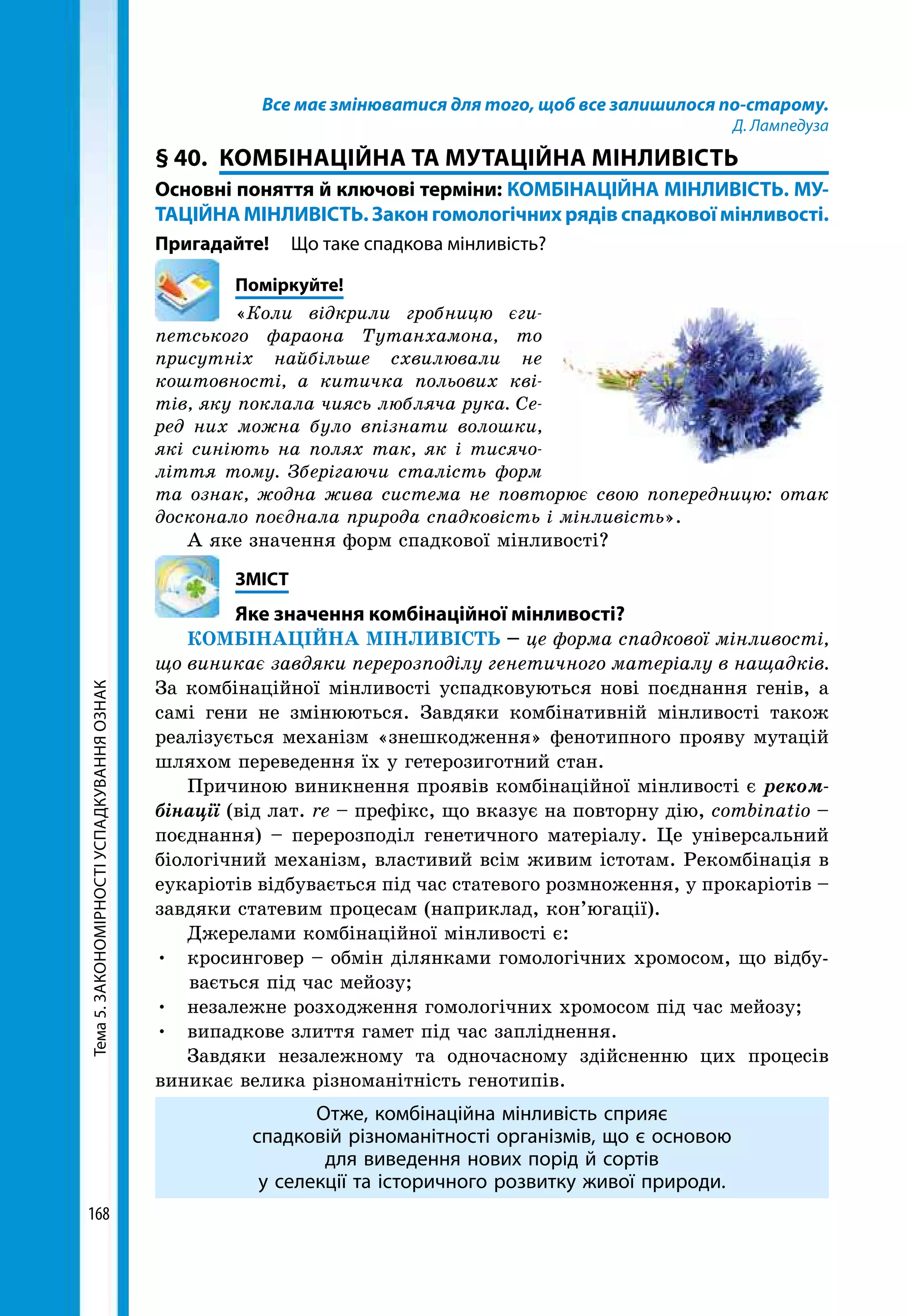 Тема5.ЗАКОНОМІРНОСТІУСПАДКУВАННЯОЗНАК
168
Все має змінюватися для того, щоб все залишилося по-старому.
Д. Лампедуза
§ 40.	 КОМБІНАЦІЙНА ТА МУТАЦІЙНА МІНЛИВІСТЬ
Основні поняття й ключові терміни: КОМБІНАЦІЙНА МІНЛИВІСТЬ. МУ-
ТАЦІЙНА МІНЛИВІСТЬ. Закон гомологічних рядів спадкової мінливості.
Пригадайте!	 Що таке спадкова мінливість?
	Поміркуйте!
«Коли відкрили гробницю єги­
петського фараона Тутанхамона, то
присутніх найбільше схвилювали не
коштовності, а китичка польових кві­
тів, яку поклала чиясь любляча рука. Се­
ред них можна було впізнати волошки,
які синіють на полях так, як і тисячо­
ліття тому. Зберігаючи сталість форм
та ознак, жодна жива система не повторює свою попередницю: отак
досконало поєднала природа спадковість і мінливість».
А яке значення форм спадкової мінливості?
	ЗМІСТ
	 Яке значення комбінаційної мінливості?
КОМБІНАЦІЙНА МІНЛИВІСТЬ – це форма спадкової мінливості,
що виникає завдяки перерозподілу генетичного матеріалу в нащадків.
За комбінаційної мінливості успадковуються нові поєднання генів, а
самі гени не змінюються. Завдяки комбінативній мінливості також
реалізується механізм «знешкодження» фенотипного прояву мутацій
шляхом переведення їх у гетерозиготний стан.
Причиною виникнення проявів комбінаційної мінливості є реком-
бінації (від лат. rе – префікс, що вказує на повторну дію, combinatio –
поєднання) – перерозподіл генетичного матеріалу. Це універсальний
біологічний механізм, властивий всім живим істотам. Рекомбінація в
еукаріотів відбувається під час статевого розмноження, у прокаріотів –
завдяки статевим процесам (наприклад, кон’югації).
Джерелами комбінаційної мінливості є:
•	 кросинговер – обмін ділянками гомологічних хромосом, що відбу-
вається під час мейозу;
•	 незалежне розходження гомологічних хромосом під час мейозу;
•	 випадкове злиття гамет під час запліднення.
Завдяки незалежному та одночасному здійсненню цих процесів
виникає велика різноманітність генотипів.
Отже, комбінаційна мінливість сприяє
спадковій різноманітності організмів, що є основою
для виведення нових порід й сортів
у селекції та історичного розвитку живої природи.
 