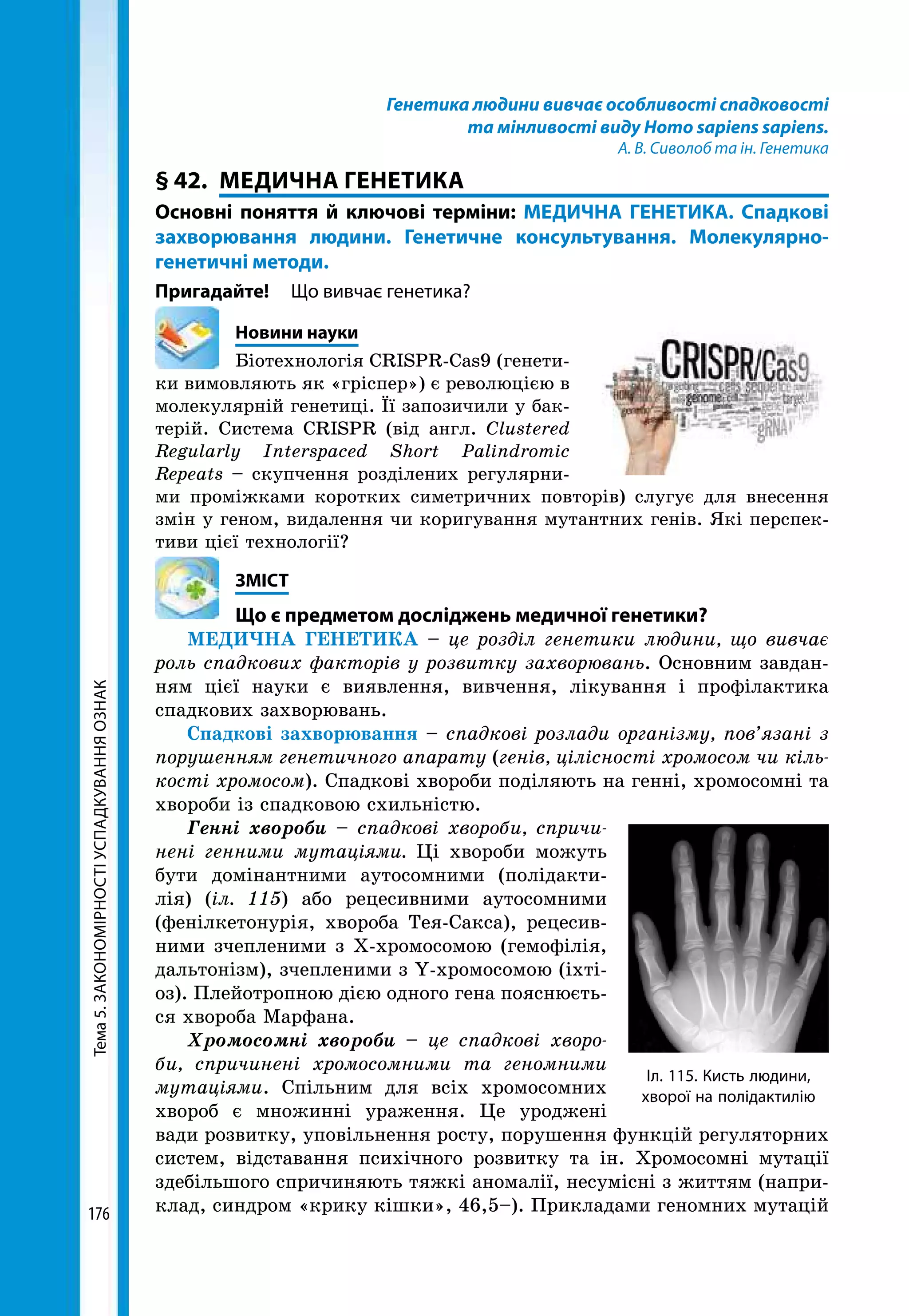 Тема5.ЗАКОНОМІРНОСТІУСПАДКУВАННЯОЗНАК
176
Генетика людини вивчає особливості спадковості
та мінливості виду Homo sapiens sapiens.
А. В. Сиволоб та ін. Генетика
§ 42.	 МЕДИЧНА ГЕНЕТИКА
Основні поняття й ключові терміни: МЕДИЧНА ГЕНЕТИКА. Спадкові
захворювання людини. Генетичне консультування. Молекулярно-­
генетичні методи.
Пригадайте! 	 Що вивчає генетика?
	 Новини науки
Біотехнологія CRISPR-Cas9 (генети-
ки вимовляють як «гріспер») є революцією в
молекулярній генетиці. Її запозичили у бак-
терій. Система CRISPR (від англ. Clustered
Regularly Interspaced Short Palindromic
Repeats – скупчення розділених регулярни-
ми проміжками коротких симетричних повторів) слугує для внесення
змін у геном, видалення чи коригування мутантних генів. Які перспек-
тиви цієї технології?
	ЗМІСТ
	 Що є предметом досліджень медичної генетики?
МЕДИЧНА ГЕНЕТИКА – це розділ генетики людини, що вивчає
роль спадкових факторів у розвитку захворювань. Основним завдан-
ням цієї науки є виявлення, вивчення, лікування і профілактика
спадкових захворювань.
Спадкові захворювання – спадкові розлади організму, пов’язані з
порушенням генетичного апарату (генів, цілісності хромосом чи кіль­
кості хромосом). Спадкові хвороби поділяють на генні, хромосомні та
хвороби із спадковою схильністю.
Генні хвороби – спадкові хвороби, спричи­
нені генними мутаціями. Ці хвороби можуть
бути домінантними аутосомними (полідакти-
лія) (іл. 115) або рецесивними аутосомними
(фенілкетонурія, хвороба Тея-Сакса), рецесив-
ними зчепленими з Х-хромосомою (гемофілія,
дальтонізм), зчепленими з Y-хромосомою (іхті-
оз). Плейотропною дією одного гена пояснюєть-
ся хвороба Марфана.
Хромосомні хвороби – це спадкові хворо­
би, спричинені хромосомними та геномними
мутаціями. Спільним для всіх хромосомних
хвороб є множинні ураження. Це уроджені
вади розвитку, уповільнення росту, порушення функцій регуляторних
систем, відставання психічного розвитку та ін. Хромосомні мутації
здебільшого спричиняють тяжкі аномалії, несумісні з життям (напри-
клад, синдром «крику кішки», 46,5–). Прикладами геномних мутацій
Іл. 115. Кисть людини,
хворої на полідактилію
 