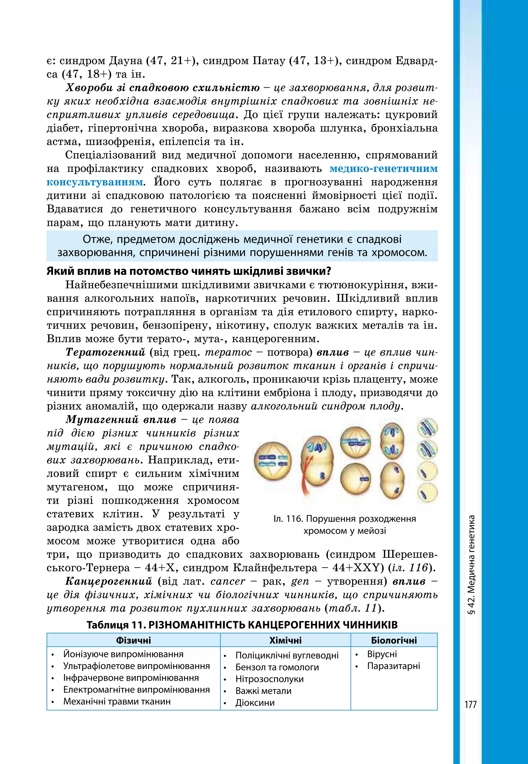 177
є: синдром Дауна (47, 21+), синдром Патау (47, 13+), синдром Едвард-
са (47, 18+) та ін.
Хвороби зі спадковою схильністю – це захворювання, для розвит­
ку яких необхідна взаємодія внутрішніх спадкових та зовнішніх не­
сприятливих упливів середовища. До цієї групи належать: цукровий
діабет, гіпертонічна хвороба, виразкова хвороба шлунка, бронхіальна
астма, шизофренія, епілепсія та ін.
Спеціалізований вид медичної допомоги населенню, спрямований
на профілактику спадкових хвороб, називають медико-генетичним
консультуванням. Його суть полягає в прогнозуванні народження
дитини зі спадковою патологією та поясненні ймовірності цієї події.
Вдаватися до генетичного консультування бажано всім подружнім
парам, що планують мати дитину.
Отже, предметом досліджень медичної генетики є спадкові
захворювання, спричинені різними порушеннями генів та хромосом.
Який вплив на потомство чинять шкідливі звички?
Найнебезпечнішими шкідливими звичками є тютюнокуріння, вжи-
вання алкогольних напоїв, наркотичних речовин. Шкідливий вплив
спричиняють потрапляння в організм та дія етилового спирту, нарко-
тичних речовин, бензопірену, нікотину, сполук важких металів та ін.
Вплив може бути терато-, мута-, канцерогенним.
Тератогенний (від грец. тератос – потвора) вплив – це вплив чин­
ників, що порушують нормальний розвиток тканин і органів і спричи­
няють вади розвитку. Так, алкоголь, проникаючи крізь плаценту, може
чинити пряму токсичну дію на клітини ембріона і плоду, призводячи до
різних аномалій, що одержали назву алкогольний синдром плоду.
Мутагенний вплив – це поява
під дією різних чинників різних
мутацій, які є причиною спадко­
вих захворювань. Наприклад, ети-
ловий спирт є сильним хімічним
мутагеном, що може спричиня-
ти різні пошкодження хромосом
статевих клітин. У результаті у
зародка замість двох статевих хро-
мосом може утворитися одна або
три, що призводить до спадкових захворювань (синдром Шерешев-
ського-Тернера – 44+Х, синдром Клайнфельтера – 44+XXY) (іл. 116).
Канцерогенний (від лат. cancer – рак, gen – утворення) вплив –
це дія фізичних, хімічних чи біологічних чинників, що спричиняють
утворення та розвиток пухлинних захворювань (табл. 11).
Таблиця 11. РІЗНОМАНІТНІСТЬ КАНЦЕРОГЕННИХ ЧИННИКІВ
Фізичні Хімічні Біологічні
•	 Йонізуюче випромінювання
•	 Ультрафіолетове випромінювання
•	 Інфрачервоне випромінювання
•	 Електромагнітне випромінювання
•	 Механічні травми тканин
•	 Поліциклічні вуглеводні
•	 Бензол та гомологи
•	 Нітрозосполуки
•	 Важкі метали
•	 Діоксини
•	 Вірусні
•	 Паразитарні
§42.Медичнагенетика
Іл. 116. Порушення розходження
хромосом у мейозі
 
