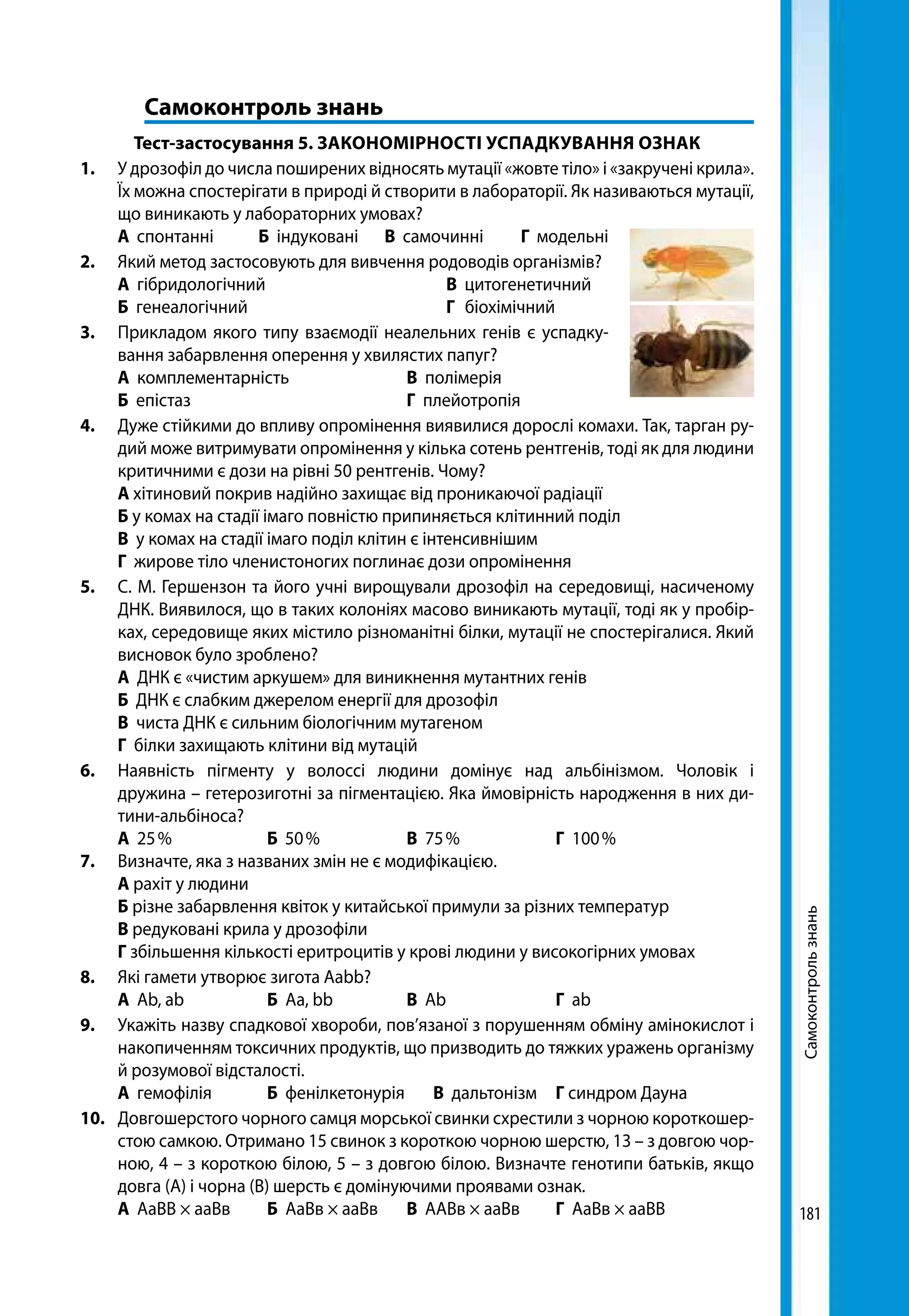 181
Самоконтрользнань
	 Самоконтроль знань
Тест-застосування 5. ЗАКОНОМІРНОСТІ УСПАДКУВАННЯ ОЗНАК
1. 	 У дрозофіл до числа поширених відносять мутації «жовте тіло» і «закручені крила».
Їх можна спостерігати в природі й створити в лабораторії. Як називаються мутації,
що виникають у лабораторних умовах?
	 А спонтанні Б індуковані В самочинні Г модельні
2.	 Який метод застосовують для вивчення родоводів організмів?
	 А гібридологічний		 В цитогенетичний
	 Б генеалогічний		 Г біохімічний
3. 	 Прикладом якого типу взаємодії неалельних генів є успадку-
вання забарвлення оперення у хвилястих папуг?
	 А комплементарність		 В полімерія	
	Б епістаз 			 Г плейотропія
4.	 Дуже стійкими до впливу опромінення виявилися дорослі комахи. Так, тарган ру-
дий може витримувати опромінення у кілька сотень рентгенів, тоді як для людини
критичними є дози на рівні 50 рентгенів. Чому?
	 А хітиновий покрив надійно захищає від проникаючої радіації
	 Б у комах на стадії імаго повністю припиняється клітинний поділ
	 В у комах на стадії імаго поділ клітин є інтенсивнішим
	 Г жирове тіло членистоногих поглинає дози опромінення
5.	 С. М. Гершензон та його учні вирощували дрозофіл на середовищі, насиченому
ДНК. Виявилося, що в таких колоніях масово виникають мутації, тоді як у пробір-
ках, середовище яких містило різноманітні білки, мутації не спостерігалися. Який
висновок було зроблено?
	 А ДНК є «чистим аркушем» для виникнення мутантних генів
	 Б ДНК є слабким джерелом енергії для дрозофіл
	 В чиста ДНК є сильним біологічним мутагеном
	 Г білки захищають клітини від мутацій
6.	 Наявність пігменту у волоссі людини домінує над альбінізмом. Чоловік і
дружина – гетерозиготні за пігментацією. Яка ймовірність народження в них ди-
тини-альбіноса?
	 А 25 %	 Б 50 %	 В 75 %	 Г 100 %
7.	 Визначте, яка з названих змін не є модифікацією.
	 А рахіт у людини
	 Б різне забарвлення квіток у китайської примули за різних температур
	 В редуковані крила у дрозофіли
	 Г збільшення кількості еритроцитів у крові людини у високогірних умовах
8. 	 Які гамети утворює зигота Aabb?
	 А Ab, ab	 Б Aa, bb	 В Ab	 Г ab
9. 	 Укажіть назву спадкової хвороби, пов’язаної з порушенням обміну амінокислот і
накопиченням токсичних продуктів, що призводить до тяжких уражень організму
й розумової відсталості.
	 А гемофілія	 Б фенілкетонурія	 В дальтонізм	 Г синдром Дауна
10.	 Довгошерстого чорного самця морської свинки схрестили з чорною короткошер-
стою самкою. Отримано 15 свинок з короткою чорною шерстю, 13 – з довгою чор-
ною, 4 – з короткою білою, 5 – з довгою білою. Визначте генотипи батьків, якщо
довга (А) і чорна (В) шерсть є домінуючими проявами ознак.
	 А АаВВ × ааВв	 Б АаВв × ааВв	 В ААВв × ааВв	 Г АаВв × ааВВ
 