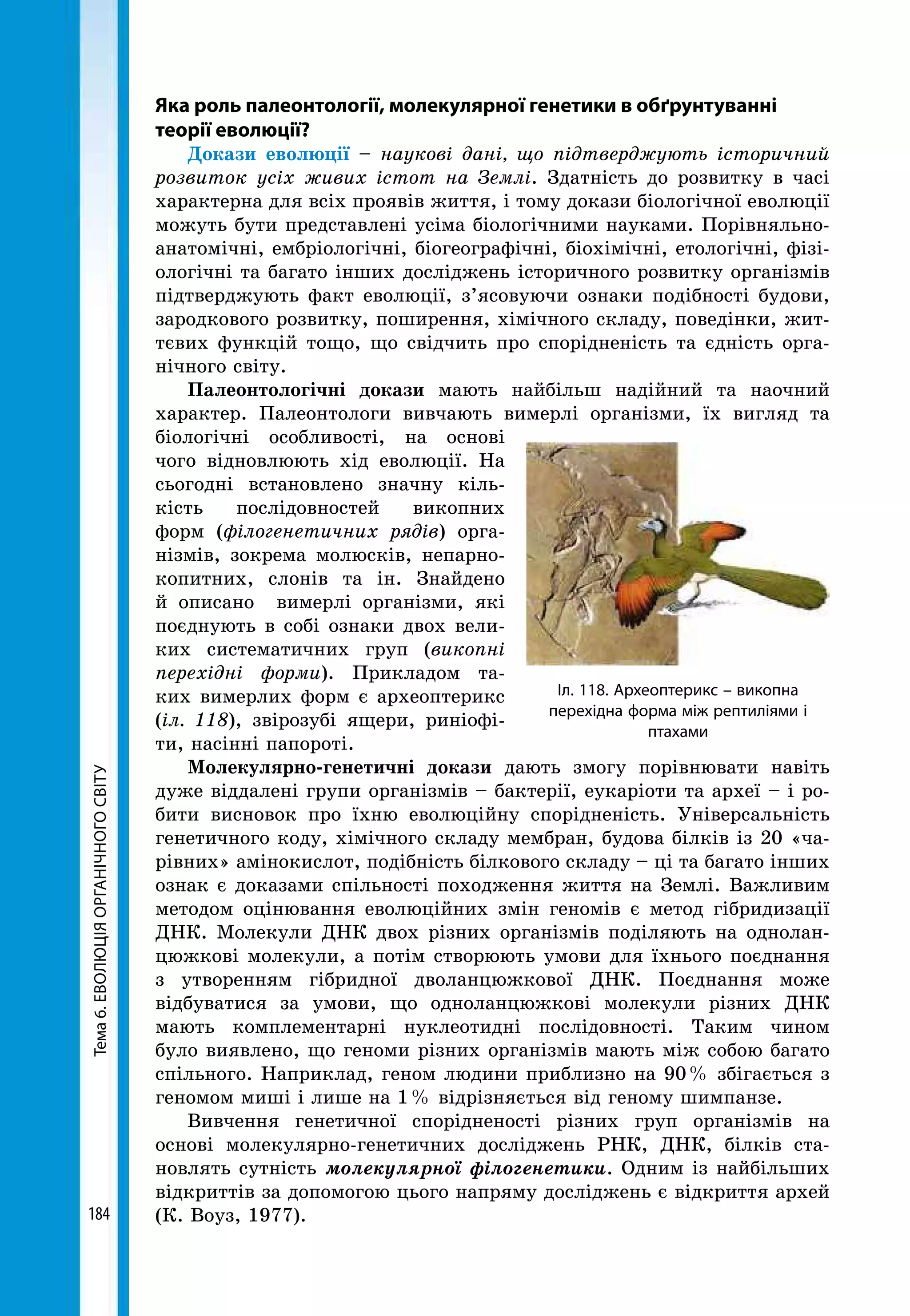 Тема6.ЕВОЛЮЦІЯОРГАНІЧНОГОСВІТУ
184
Яка роль палеонтології, молекулярної генетики в обґрунтуванні
теорії еволюції?
Докази еволюції – наукові дані, що підтверджують історичний
розвиток усіх живих істот на Землі. Здатність до розвитку в часі
характерна для всіх проявів життя, і тому докази біологічної еволюції
можуть бути представлені усіма біологічними науками. Порівняльно-
анатомічні, ембріологічні, біогеографічні, біохімічні, етологічні, фізі-
ологічні та багато інших досліджень історичного розвитку організмів
підтверджують факт еволюції, з’ясовуючи ознаки подібності будови,
зародкового розвитку, поширення, хімічного складу, поведінки, жит-
тєвих функцій тощо, що свідчить про спорідненість та єдність орга-
нічного світу.
Палеонтологічні докази мають найбільш надійний та наочний
характер. Палеонтологи вивчають вимерлі організми, їх вигляд та
біологічні особливості, на основі
чого відновлюють хід еволюції. На
сьогодні встановлено значну кіль-
кість послідовностей викопних
форм (філогенетичних рядів) орга-
нізмів, зокрема молюсків, непарно-
копитних, слонів та ін. Знайдено
й описано вимерлі організми, які
поєднують в собі ознаки двох вели-
ких систематичних груп (викопні
перехідні форми). Прикладом та-
ких вимерлих форм є археоптерикс
(іл. 118), звірозубі ящери, риніофі-
ти, насінні папороті.
Молекулярно-генетичні докази дають змогу порівнювати навіть
дуже віддалені групи організмів – бактерії, еукаріоти та археї – і ро-
бити висновок про їхню еволюційну спорідненість. Універсальність
генетичного коду, хімічного складу мембран, будова білків із 20 «ча-
рівних» амінокислот, подібність білкового складу – ці та багато інших
ознак є доказами спільності походження життя на Землі. Важливим
методом оцінювання еволюційних змін геномів є метод гібридизації
ДНК. Молекули ДНК двох різних організмів поділяють на однолан-
цюжкові молекули, а потім створюють умови для їхнього поєднання
з утворенням гібридної дволанцюжкової ДНК. Поєднання може
відбуватися за умови, що одноланцюжкові молекули різних ДНК
мають комплементарні нуклеотидні послідовності. Таким чином
було виявлено, що геноми різних організмів мають між собою багато
спільного. Наприклад, геном людини приблизно на 90 % збігається з
геномом миші і лише на 1 % відрізняється від геному шимпанзе.
Вивчення генетичної спорідненості різних груп організмів на
основі молекулярно-генетичних досліджень РНК, ДНК, білків ста-
новлять сутність молекулярної філогенетики. Одним із найбільших
відкриттів за допомогою цього напряму досліджень є відкриття архей
(К. Воуз, 1977).
Іл. 118. Археоптерикс – викопна
перехідна форма між рептиліями і
птахами
 
