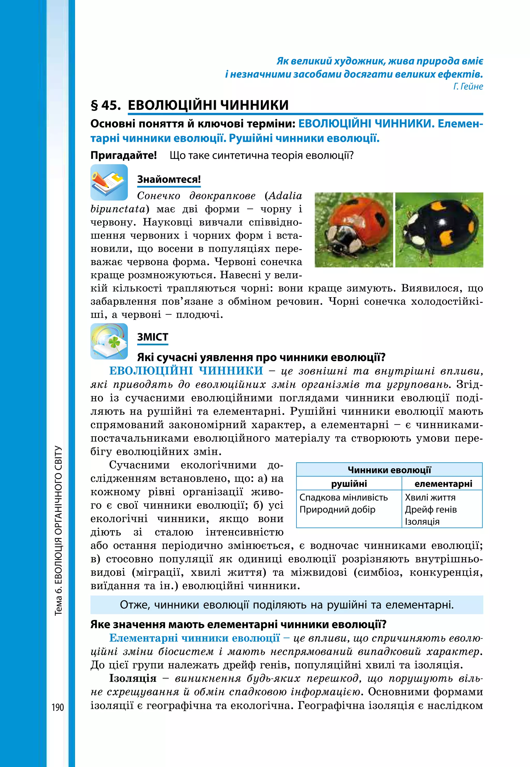 Тема6.ЕВОЛЮЦІЯОРГАНІЧНОГОСВІТУ
190
Як великий художник, жива природа вміє
і незначними засобами досягати великих ефектів.
Г. Гейне
§ 45.	 ЕВОЛЮЦІЙНІ ЧИННИКИ
Основні поняття й ключові терміни: ЕВОЛЮЦІЙНІ ЧИННИКИ. Елемен­
тарні чинники еволюції. Рушійні чинники еволюції.
Пригадайте! 	 Що таке синтетична теорія еволюції?
	Знайомтеся!
Сонечко двокрапкове (Adalia
bipunctata) має дві форми – чорну і
червону. Науковці вивчали співвідно-
шення червоних і чорних форм і вста-
новили, що восени в популяціях пере-
важає червона форма. Червоні сонечка
краще розмножуються. Навесні у вели-
кій кількості трапляються чорні: вони краще зимують. Виявилося, що
забарвлення пов’язане з обміном речовин. Чорні сонечка холодостійкі-
ші, а червоні – плодючі.
	ЗМІСТ
	 Які сучасні уявлення про чинники еволюції?
ЕВОЛЮЦІЙНІ ЧИННИКИ – це зовнішні та внутрішні впливи,
які приводять до еволюційних змін організмів та угруповань. Згід-
но із сучасними еволюційними поглядами чинники еволюції поді-
ляють на рушійні та елементарні. Рушійні чинники еволюції мають
спрямований закономірний характер, а елементарні – є чинниками-
постачальниками еволюційного матеріалу та створюють умови пере-
бігу еволюційних змін.
Сучасними екологічними до-
слідженням встановлено, що: а) на
кожному рівні організації живо-
го є свої чинники еволюції; б) усі
екологічні чинники, якщо вони
діють зі сталою інтенсивністю
або остання періодично змінюється, є водночас чинниками еволюції;
в) стосовно популяції як одиниці еволюції розрізняють внутрішньо-
видові (міграції, хвилі життя) та міжвидові (симбіоз, конкуренція,
виїдання та ін.) еволюційні чинники.
Отже, чинники еволюції поділяють на рушійні та елементарні.
Яке значення мають елементарні чинники еволюції?
Елементарні чинники еволюції – це впливи, що спричиняють еволю-
ційні зміни біосистем і мають неспрямований випадковий характер.
До цієї групи належать дрейф генів, популяційні хвилі та ізоляція.
Ізоляція – виникнення будь-яких перешкод, що порушують віль-
не схрещування й обмін спадковою інформацією. Основними формами
ізоляції є географічна та екологічна. Географічна ізоляція є наслідком
Чинники еволюції
рушійні елементарні
Спадкова мінливість
Природний добір
Хвилі життя
Дрейф генів
Ізоляція
 