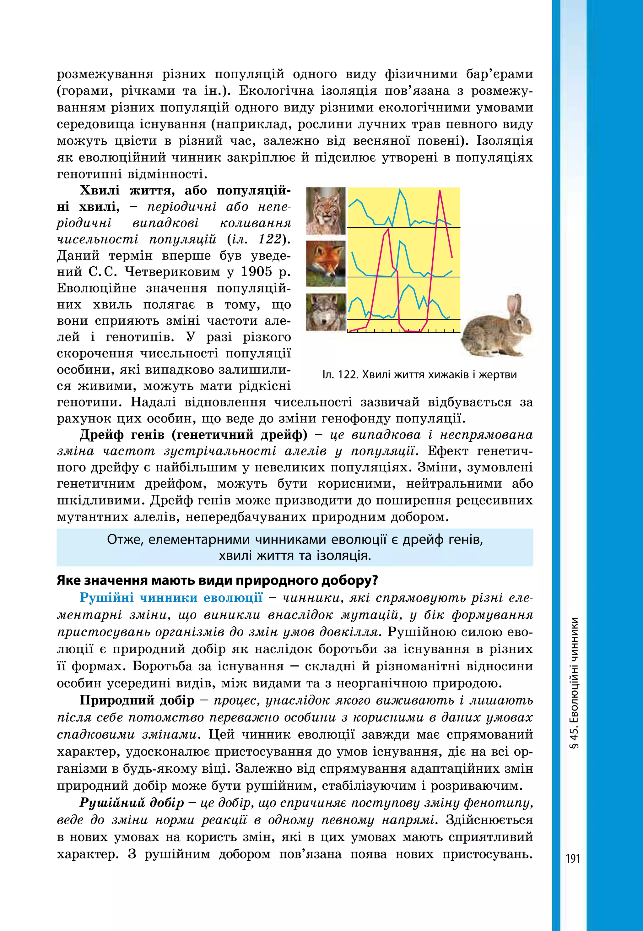 191
розмежування різних популяцій одного виду фізичними бар’єрами
(горами, річками та ін.). Екологічна ізоляція пов’язана з розмежу-
ванням різних популяцій одного виду різними екологічними умовами
середовища існування (наприклад, рослини лучних трав певного виду
можуть цвісти в різний час, залежно від весняної повені). Ізоляція
як еволюційний чинник закріплює й підсилює утворені в популяціях
генотипні відмінності.
Хвилі життя, або популяцій-
ні хвилі, – періодичні або непе-
ріодичні випадкові коливання
чисельності популяцій (іл. 122).
Даний термін вперше був уведе-
ний С. С. Четвериковим у 1905 р.
Еволюційне значення популяцій-
них хвиль полягає в тому, що
вони сприяють зміні частоти але-
лей і генотипів. У разі різкого
скорочення чисельності популяції
особини, які випадково залишили-
ся живими, можуть мати рідкісні
генотипи. Надалі відновлення чисельності зазвичай відбувається за
рахунок цих особин, що веде до зміни генофонду популяції.
Дрейф генів (генетичний дрейф) – це випадкова і неспрямована
зміна частот зустрічальності алелів у популяції. Ефект генетич-
ного дрейфу є найбільшим у невеликих популяціях. Зміни, зумовлені
генетичним дрейфом, можуть бути корисними, нейтральними або
шкідливими. Дрейф генів може призводити до поширення рецесивних
мутантних алелів, непередбачуваних природним добором.
Отже, елементарними чинниками еволюції є дрейф генів,
хвилі життя та ізоляція.
Яке значення мають види природного добору?
Рушійні чинники еволюції – чинники, які спрямовують різні еле-
ментарні зміни, що виникли внаслідок мутацій, у бік формування
пристосувань організмів до змін умов довкілля. Рушійною силою ево-
люції є природний добір як наслідок боротьби за існування в різних
її формах. Боротьба за існування – складні й різноманітні відносини
особин усередині видів, між видами та з неорганічною природою.
Природний добір – процес, унаслідок якого виживають і лишають
після себе потомство переважно особини з корисними в даних умовах
спадковими змінами. Цей чинник еволюції завжди має спрямований
характер, удосконалює пристосування до умов існування, діє на всі ор-
ганізми в будь-якому віці. Залежно від спрямування адаптаційних змін
природний добір може бути рушійним, стабілізуючим і розриваючим.
Рушійний добір – це добір, що спричиняє поступову зміну фенотипу,
веде до зміни норми реакції в одному певному напрямі. Здійснюється
в нових умовах на користь змін, які в цих умовах мають сприятливий
характер. З рушійним добором пов’язана поява нових пристосувань.
§45.Еволюційнічинники
Іл. 122. Хвилі життя хижаків і жертви
 