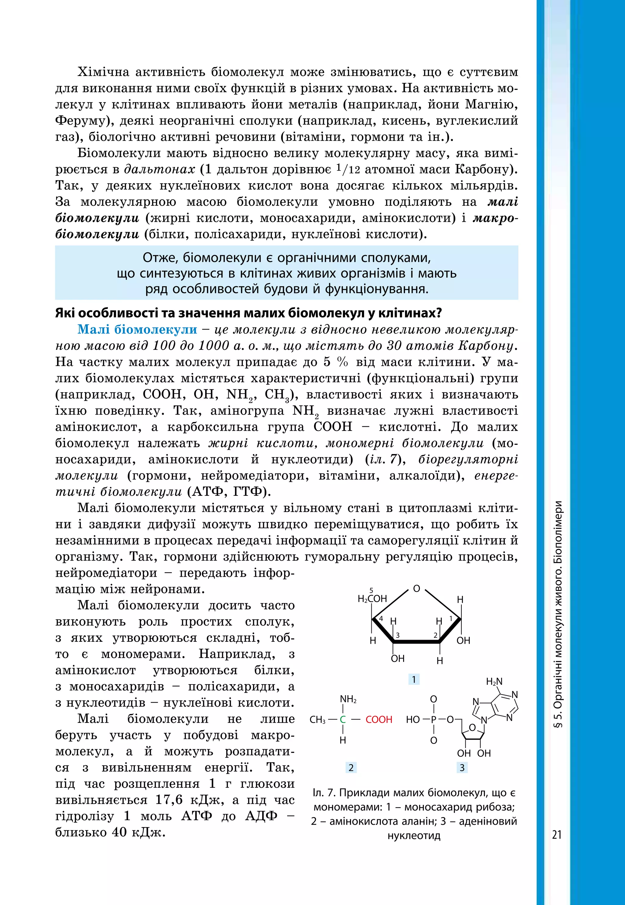 21
Хімічна активність біомолекул може змінюватись, що є суттєвим
для виконання ними своїх функцій в різних умовах. На активність мо-
лекул у клітинах впливають йони металів (наприклад, йони Магнію,
Феруму), деякі неорганічні сполуки (наприклад, кисень, вуглекислий
газ), біологічно активні речовини (вітаміни, гормони та ін.).
Біомолекули мають відносно велику молекулярну масу, яка вимі-
рюється в дальтонах (1 дальтон дорівнює 1/12 атомної маси Карбону).
Так, у деяких нуклеїнових кислот вона досягає кількох мільярдів.
За молекулярною масою біомолекули умовно поділяють на малі
біомолекули (жирні кислоти, моносахариди, амінокислоти) і макро­
біомолекули (білки, полісахариди, нуклеїнові кислоти).
Отже, біомолекули є органічними сполуками,
що синтезуються в клітинах живих організмів і мають
ряд особливостей будови й функціонування.
Які особливості та значення малих біомолекул у клітинах?
Малі біомолекули – це молекули з відносно невеликою молекуляр­
ною масою від 100 до 1000 а. о. м., що містять до 30 атомів Карбону.
На частку малих молекул припадає до 5 % від маси клітини. У ма-
лих біомолекулах містяться характеристичні (функціональні) групи
(наприклад, СООН, ОН, NH2
, СH3
), властивості яких і визначають
їхню поведінку. Так, аміногрупа NH2
визначає лужні властивості
амінокислот, а карбоксильна група СООН – кислотні. До малих
біомолекул належать жирні кислоти, мономерні біомолекули (мо-
носахариди, амінокислоти й нуклеотиди) (іл.  7), біорегуляторні
молекули (гормони, нейромедіатори, вітаміни, алкалоїди), енерге­
тичні біомолекули (АТФ, ГТФ).
Малі біомолекули містяться у вільному стані в цитоплазмі кліти-
ни і завдяки дифузії можуть швидко переміщуватися, що робить їх
незамінними в процесах передачі інформації та саморегуляції клітин й
організму. Так, гормони здійснюють гуморальну регуляцію процесів,
нейромедіатори – передають інфор-
мацію між нейронами.
Малі біомолекули досить часто
виконують роль простих сполук,
з яких утворюються складні, тоб-
то є мономерами. Наприклад, з
амінокислот утворюються білки,
з моносахаридів – полісахариди, а
з нуклеотидів – нуклеїнові кислоти.
Малі біомолекули не лише
беруть участь у побудові макро-
молекул, а й можуть розпадати-
ся з вивільненням енергії. Так,
під час розщеп­лення 1 г глюкози
вивільняється 17,6 кДж, а під час
гідролізу 1 моль АТФ до АДФ –
близько 40 кДж.
§5.Органічнімолекулиживого.Біополімери
Іл. 7. Приклади малих біомолекул, що є
мономерами: 1 – моносахарид рибоза;
2 – амінокислота аланін; 3 – аденіновий
нуклеотид
СH3 C COOH
NH2
H
OН
HO
OН
P
O
O
O
O
H2N
N
N
NN
OН
OН
1
23
4
5
Н
Н
НН
Н
O
H2COH
1
2 3
 