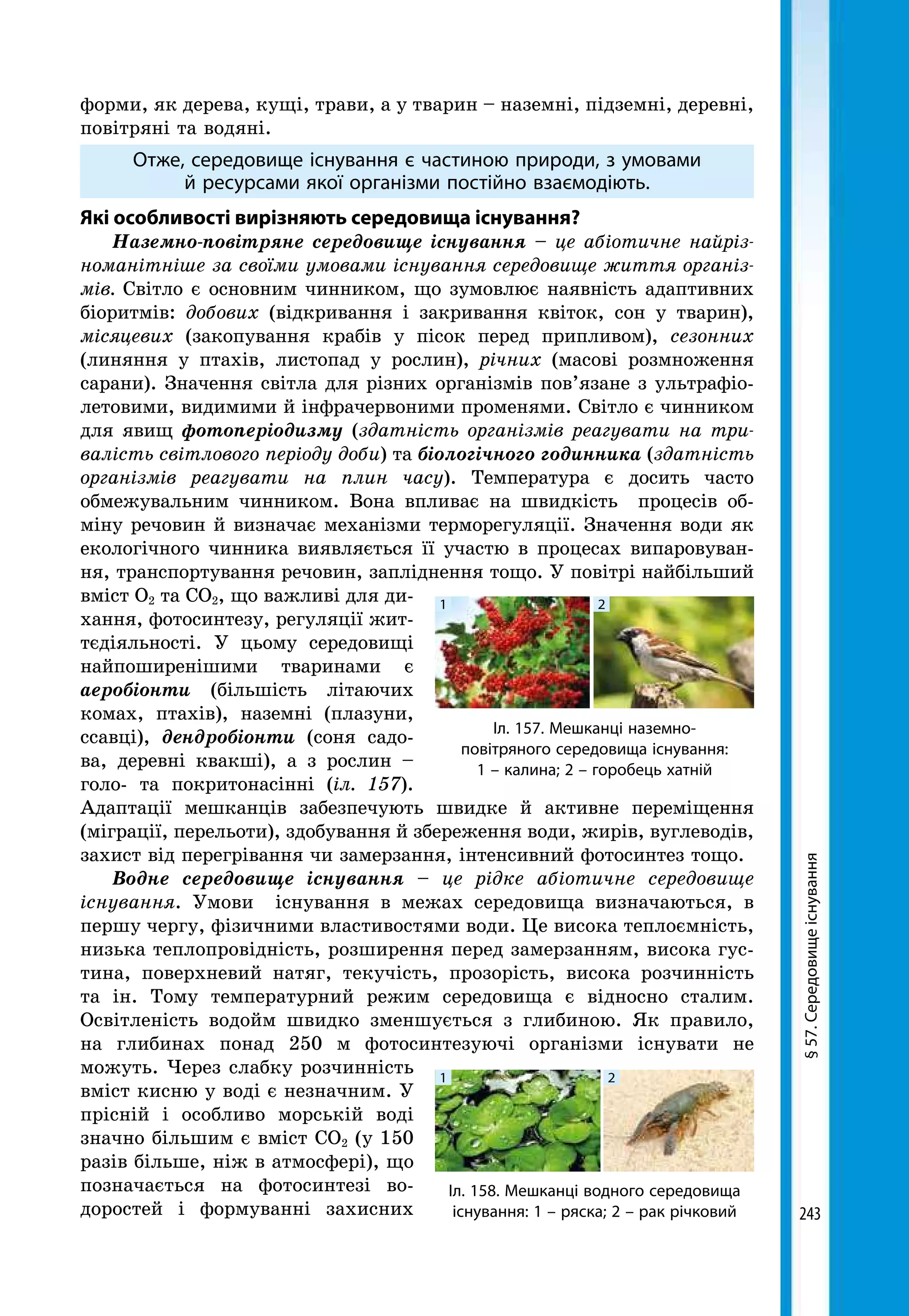 243
§57.Середовищеіснування
форми, як дерева, кущі, трави, а у тварин – наземні, підземні, деревні,
повітряні та водяні.
Отже, середовище існування є частиною природи, з умовами
й ресурсами якої організми постійно взаємодіють.
Які особливості вирізняють середовища існування?
Наземно-повітряне середовище існування – це абіотичне найріз-
номанітніше за своїми умовами існування середовище життя організ-
мів. Світло є основним чинником, що зумовлює наявність адаптивних
біоритмів: добових (відкривання і закривання квіток, сон у тварин),
місяцевих (закопування крабів у пісок перед припливом), сезонних
(линяння у птахів, листопад у рослин), річних (масові розмноження
сарани). Значення світла для різних організмів пов’язане з ультрафіо­
летовими, видимими й інфрачервоними променями. Світло є чинником
для явищ фотоперіодизму (здатність організмів реагувати на три-
валість світлового періоду доби) та біологічного годинника (здатність
організмів реагувати на плин часу). Температура є досить часто
обмежувальним чинником. Вона впливає на швидкість процесів об-
міну речовин й визначає механізми терморегуляції. Значення води як
екологічного чинника виявляється її участю в процесах випаровуван-
ня, транспортування речовин, запліднення тощо. У повітрі найбільший
вміст О2 та СО2, що важливі для ди-
хання, фотосинтезу, регуляції жит-
тєдіяльності. У цьому середовищі
найпоширенішими тваринами є
аеробіон­ти (більшість літаючих
комах, птахів), наземні (плазуни,
ссавці), дендробіонти (соня садо-
ва, деревні квакші), а з рослин –
голо- та покритонасінні (іл. 157).
Адаптації мешканців забезпечують швидке й активне переміщення
(міграції, перельоти), здобування й збереження води, жирів, вуглеводів,
захист від перегрівання чи замерзання, інтенсивний фотосинтез тощо.
Водне середовище існування – це рідке абіотичне середовище
існування. Умови існування в межах середовища визначаються, в
першу чергу, фізичними властивостями води. Це висока теплоємність,
ни­зька теплопровідність, розширення перед замерзанням, висока гус-
тина, поверхневий натяг, текучість, прозорість, висока розчинність
та ін. Тому температурний режим середовища є відносно сталим.
Освітленість водойм швидко зменшується з глибиною. Як правило,
на глибинах понад 250 м фотосинтезуючі організми існувати не
можуть. Через слабку розчинність
вміст кисню у воді є незначним. У
прісній і особ­ливо морській воді
значно більшим є вміст СО2 (у 150
разів більше, ніж в атмосфері), що
позначається на фотосинтезі во-
доростей і формуванні захисних
Іл. 158. Мешканці водного середовища
існування: 1 – ряска; 2 – рак річковий
1 2
Іл. 157. Мешканці наземно-­
повітряного середовища існування:
1 – калина; 2 – горобець хатній
1 2
 
