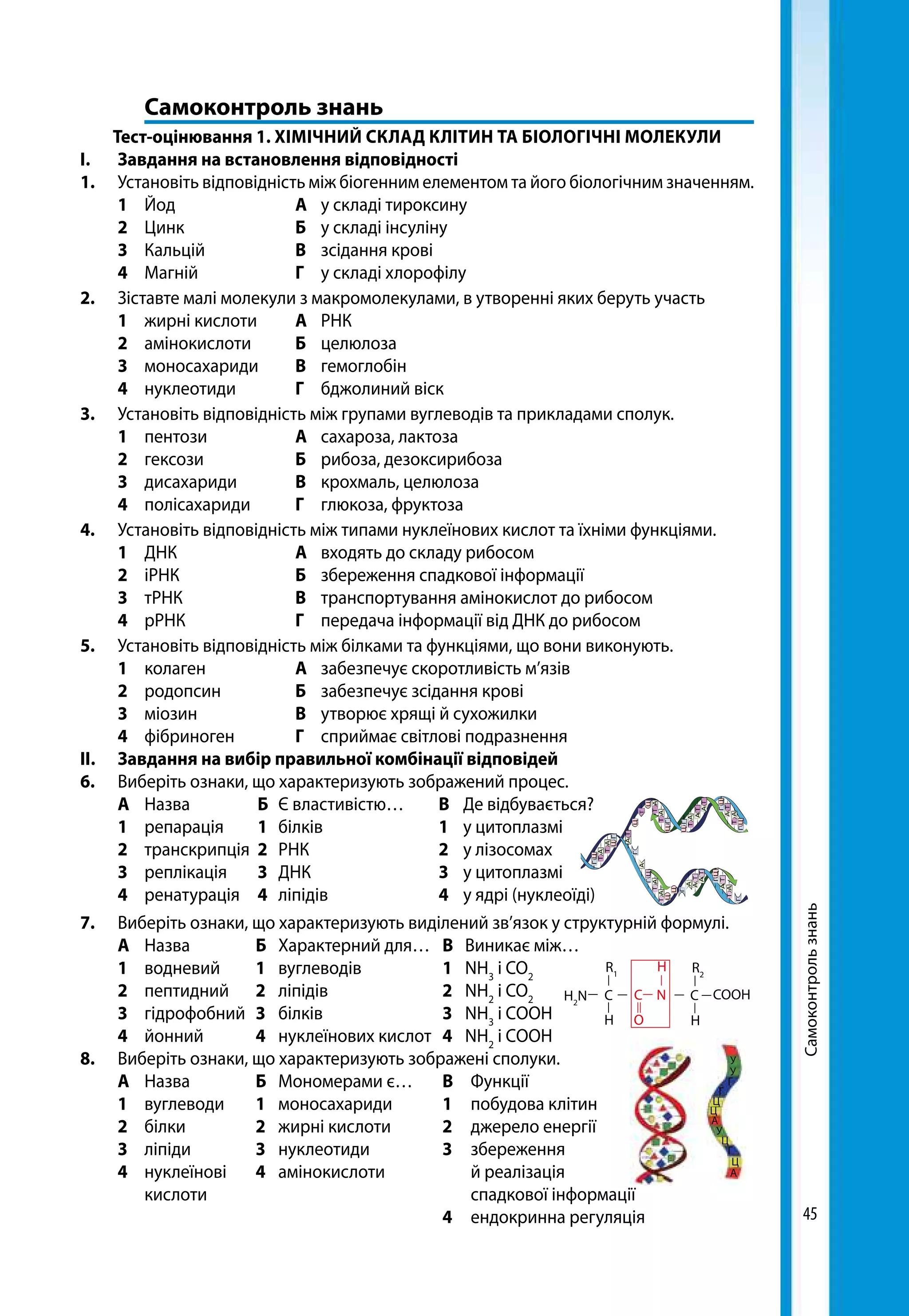 45
	 Самоконтроль знань
Тест-оцінювання 1. ХІМІЧНИЙ СКЛАД КЛІТИН ТА БІОЛОГІЧНІ МОЛЕКУЛИ
І.	 Завдання на встановлення відповідності
1.	 Установіть відповідність між біогенним елементом та його біологічним значенням.
	 1	Йод	 А	 у складі тироксину
	 2	Цинк	 Б	 у складі інсуліну	
	 3	Кальцій	 В	 зсідання крові
	 4	Магній	 Г	 у складі хлорофілу
2. 	 Зіставте малі молекули з макромолекулами, в утворенні яких беруть участь
	1	 жирні кислоти	 А	 РНК
	2	 амінокислоти	 Б	 целюлоза
	3	 моносахариди	 В	 гемоглобін
	4	 нуклеотиди	 Г	 бджолиний віск
3.	 Установіть відповідність між групами вуглеводів та прикладами сполук.
	1	пентози	 А	 сахароза, лактоза
	2	гексози	 Б	 рибоза, дезоксирибоза
	3	дисахариди	 В	 крохмаль, целюлоза
	4	полісахариди	 Г	 глюкоза, фруктоза
4.	 Установіть відповідність між типами нуклеїнових кислот та їхніми функціями.
	1	ДНК	 А	 входять до складу рибосом
	2	іРНК	 Б	 збереження спадкової інформації
	3	тРНК	 В	 транспортування амінокислот до рибосом
	4	рРНК	 Г	 передача інформації від ДНК до рибосом
5.	 Установіть відповідність між білками та функціями, що вони виконують.
	1	колаген	 А	 забезпечує скоротливість м’язів
	2	родопсин	 Б	 забезпечує зсідання крові
	3	міозин	 В	 утворює хрящі й сухожилки
	4	фібриноген	 Г	 сприймає світлові подразнення
ІІ.	 Завдання на вибір правильної комбінації відповідей
6.	 Виберіть ознаки, що характеризують зображений процес.
	А	 Назва 	 Б	 Є властивістю…	 В	 Де відбувається?
	1	репарація	 1	білків	 1	 у цитоплазмі
	2	транскрипція	2	РНК	 2	 у лізосомах
	3	реплікація	 3	ДНК	 3	 у цитоплазмі
	4	ренатурація	4	ліпідів	 4	 у ядрі (нуклеоїді)
7.	 Виберіть ознаки, що характеризують виділений зв’язок у структурній формулі.
	А	 Назва 	 Б	 Характерний для…	 В	 Виникає між…
	1	водневий	 1	вуглеводів	 1	NH3
і CO2
	2	пептидний	 2	ліпідів	 2	NH2
і CO2
	3	гідрофобний	3	білків	 3	NH3
і CООН
	4	йонний	 4	 нуклеїнових кислот	 4	NH2
і CООН
8.	 Виберіть ознаки, що характеризують зображені сполуки.
	А	Назва	 Б	 Мономерами є…	 В	Функції
	1	вуглеводи	 1	моносахариди	 1	 побудова клітин
	2	білки	 2	 жирні кислоти	 2	 джерело енергії
	3	ліпіди	 3	нуклеотиди	 3	збереження
	4	нуклеїнові	 4	 амінокислоти		 й реалізація
		 кислоти				 спадкової інформації
					 4	 ендокринна регуляція
Самоконтрользнань
H2
N C C COOHC N
H HO
HR1
R2
А
Ц
Г
Г
У
У
У
А
А
Г
Ц
Ц
Ц
 