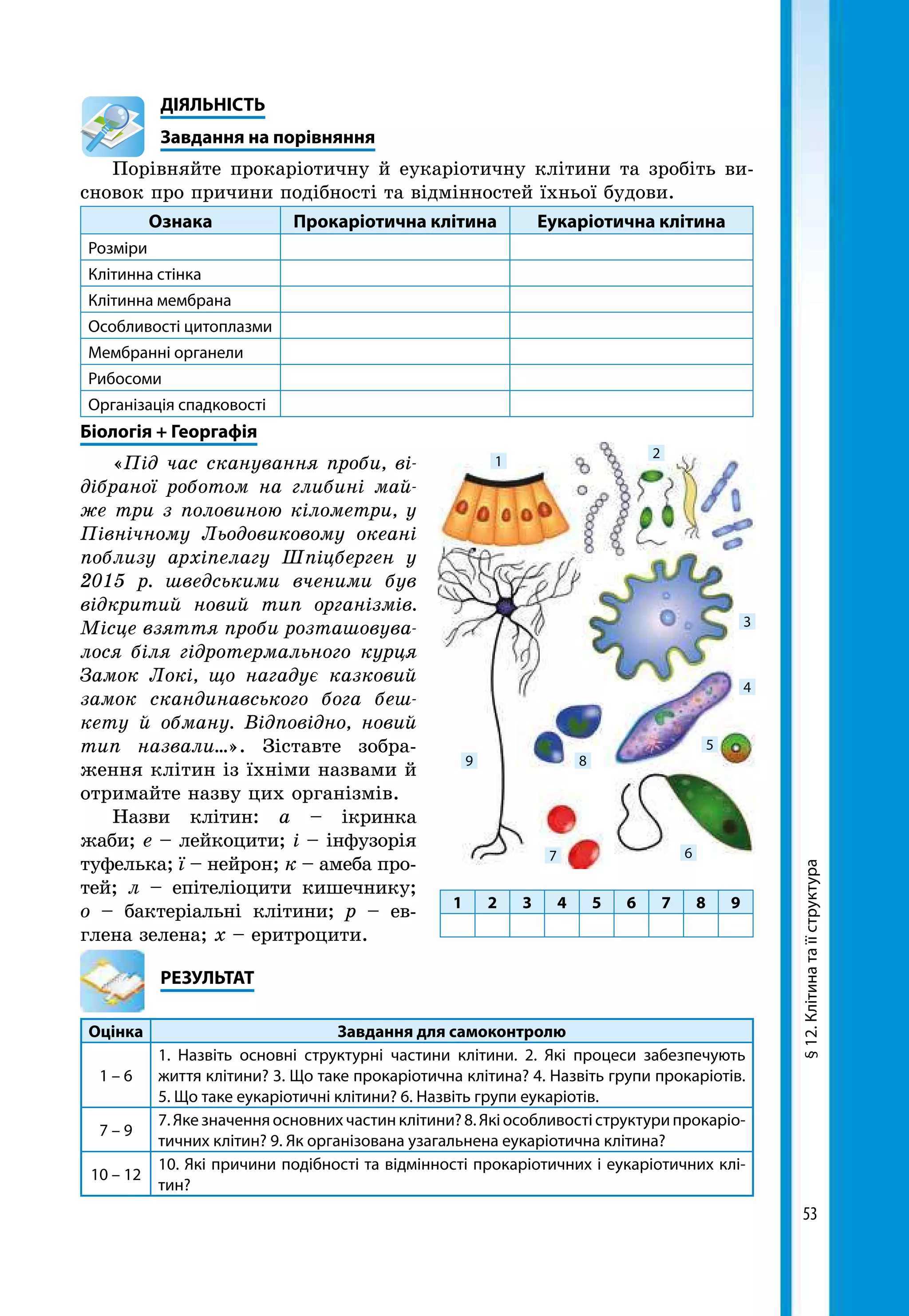 53
	ДІЯЛЬНІСТЬ
	 Завдання на порівняння
Порівняйте прокаріотичну й еукаріотичну клітини та зробіть ви-
сновок про причини подібності та відмінностей їхньої будови.
Ознака Прокаріотична клітина Еукаріотична клітина
Розміри
Клітинна стінка
Клітинна мембрана
Особливості цитоплазми
Мембранні органели
Рибосоми
Організація спадковості
Біологія + Георгафія
«Під час сканування проби, ві­
дібраної роботом на глибині май­
же три з половиною кілометри, у
Північному Льодовиковому океані
поблизу архіпелагу Шпіцберген у
2015 р. шведськими вченими був
відкритий новий тип організмів.
Місце взяття проби розташовува­
лося біля гідро­термального курця
Замок Локі, що нагадує казковий
замок скандинавського бога беш­
кету й обману. Відповідно, новий
тип назвали…». Зіставте зобра-
ження клітин із їхніми назвами й
отримайте назву цих організмів.
Назви клітин: а – ікринка
жаби; е – лейкоцити; і – інфузорія
туфелька; ї – нейрон; к – амеба про-
тей; л – епітеліоцити кишечнику;
о – бактеріальні клітини; р – ев­
глена зелена; х – еритроцити.
	РЕЗУЛЬТАТ
Оцінка Завдання для самоконтролю
1 – 6
1. Назвіть основні структурні частини клітини. 2. Які процеси забезпечують
життя клітини? 3. Що таке прокаріотична клітина? 4. Назвіть групи прокаріотів.
5. Що таке еукаріотичні клітини? 6. Назвіть групи еукаріотів.
7 – 9
7. Яке значення основних частин клітини? 8. Які особливості структури прокаріо­
тичних клітин? 9. Як організована узагальнена еукаріотична клітина?
10 – 12
10. Які причини подібності та відмінності прокаріотичних і еукаріотичних клі-
тин?
§12.Клітинатаїїструктура
2
3
4
5
67
89
1
1 2 3 4 5 6 7 8 9
 