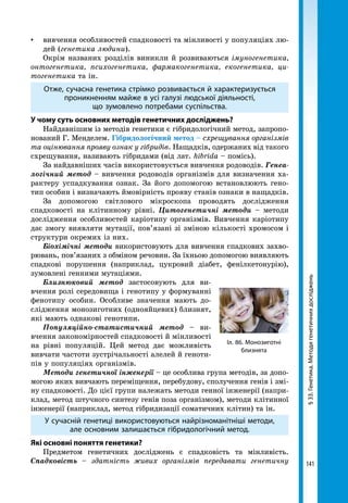 141
§33.Генетика.Методигенетичнихдосліджень
Іл. 86. Монозиготні
близнята
▪ 	 вивчення особливостей спадковості та мінливості у популяціях лю-
дей (генетика людини).
Окрім названих розділів виникли й розвиваються імуногенетика,
онтогенетика, психогенетика, фармакогенетика, екогенетика, ци­
тогенетика та ін.
Отже, сучасна генетика стрімко розвивається й характеризується
проникненням майже в усі галузі людської діяльності,
що зумовлено потребами суспільства.
У чому суть основних методів генетичних досліджень?
Найдавнішим із методів генетики є гібридологічний метод, запропо-
нований Г. Менделем. Гібридологічний метод – схрещування організмів
та оцінювання прояву ознак у гібридів. Нащадків, одержаних від такого
схрещування, називають гібридами (від лат. hibrida – помісь).
За найдавніших часів використовується вивчення родоводів. Генеа­
логічний метод – вивчення родоводів організмів для визначення ха-
рактеру успадкування ознак. За його допомогою встановлюють гено-
тип особин і визначають ймовірність прояву станів ознаки в нащадків.
За допомогою світлового мікроскопа проводять дослідження
спадковості на клітинному рівні. Цитогенетичні методи – методи
дослідження особливостей каріотипу організмів. Вивчення каріотипу
дає змогу виявляти мутації, пов’язані зі зміною кількості хромосом і
структури окремих із них.
Біохімічні методи використовують для вивчення спадкових захво-
рювань, пов’язаних з обміном речовин. За їхньою допомогою виявляють
спадкові порушення (наприклад, цукровий діабет, фенілкетонурію),
зумовлені генними мутаціями.
Близнюковий метод застосовують для ви-
вчення ролі середовища і генотипу у формуванні
фенотипу особин. Особливе значення мають до-
слідження монозиготних (однояйцевих) близнят,
які мають однакові генотипи.
Популяційно-статистичний метод – ви-
вчення закономірностей спадковості й мінливості
на рівні популяцій. Цей метод дає можливість
вивчати частоти зустрічальності алелей й геноти-
пів у популяціях організмів.
Методи генетичної інженерії – це особлива група методів, за допо-
могою яких вивчають переміщення, перебудову, сполучення генів і змі-
ну спадковості. До цієї групи належать методи генної інженерії (напри-
клад, метод штучного синтезу генів поза організмом), методи клітинної
інженерії (наприклад, метод гібридизації соматичних клітин) та ін.
У сучасній генетиці використовуються найрізноманітніші методи,
але основним залишається гібридологічний метод.
Які основні поняття генетики?
Предметом генетичних досліджень є спадковість та мінливість.
Спадковість – здатність живих організмів передавати генетичну
 