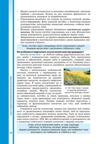 Тема8.НАДОРГАНІЗМОВІБІОЛОГІЧНІСИСТЕМИ
248
•	 Процес сукцесії починається із заселення лишайниками, нижчими
грибами і рослинами. Згодом на цих ділянках формуються чи
відновлюються зооценози та мікробіоценози.
•	 Угрупування організмів, які існують на початку сукцесій, назива-
ються піонерними. Вони зазвичай нестійкі, з незначним видовим
різноманіттям, нескладними ланцюгами живлення, слабкою міне-
рілазацією решток тощо.
•	 Піонерні угруповання швидко змінюються проміжними угрупо-
ваннями. Це також нестійкі угруповання, але в них збільшується
видове різноманіття, розгалужуються трофічні мережі тощо.
•	 Завершуються сукцесії, як правило, формуванням зрілих (клімакс­
них) екосистем з максимально можливим у даних природних умо-
вах ступенем стійкості.
Отже, постійні зміни середовища життя спричиняють сукцесії,
кінцевою метою яких є досягнення стабільного стану.
Які особливості відрізняють штучні екосистеми від природних?
Штучні екосистеми – це збіднене видами угруповання рослин, тва-
рин, грибів і мікроорганізмів, створене людиною. Їхнє призначення
полягає в забезпеченні людини їжею й сировиною, створенні умов
проживання, організації наукових досліджень та ін. Існування штуч-
них екосистем можливе тільки за постійного, науково обґрунтованого
догляду з боку людини.
Однією з визначальних особливостей
штучних екосистем є переважання од-
ного чи декількох домінантних видів ор-
ганізмів, що позначається на довжині
трофічних ланцюгів, складності трофічних
мереж тощо. В таких екосистемах діє в
основному штучний добір, спрямований на
максимальну продуктивність організмів,
потрібних людині. Штучні екосистеми
мають обмежений видовий склад, не здатні
до саморегуляції, нестійкі за своєю природою, оскільки в умовах
стресу вони є дуже вразливими для конкурентів, збудників хвороб,
паразитів, хижаків тощо. Людина повинна постійно втручатися у
структуру та функціонування екосистем для того, щоб запобігти
небажаним змінам.
Створюючи штучні екосистеми людина має розуміти їхні особли-
вості та організовувати ландшафти таким чином, щоб не порушува-
лась стабільність природних великих екосистем. Сади чи поля мають
чергуватися з лісами, природними водоймами, луками та біогеоцено-
зами інших типів (іл. 163). Все це забезпечуватиме те різноманіття, що
є запорукою стабільності окремих екосистем і природи загалом.
Отже, штучні екосистеми мають ту саму структуру
(абіотичну та біотичну частини), умови існування
(видове різноманіття, ланцюги живлення тощо), але позбавлені такої
властивості, як стабільність й стійкість у часі.
Іл. 163. Поле поруч з луками
як приклад дотримання
екологічної культури у бізнесі
 