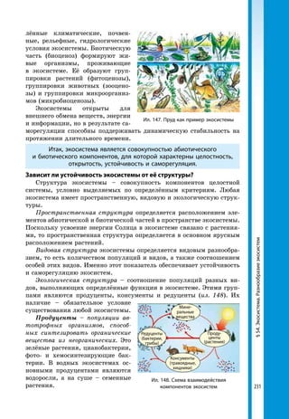 231
Ил. 147. Пруд как пример экосистемы
лённые климатические, почвен-
ные, рельефные, гидрологические
условия экосистемы. Биотическую
часть (биоценоз) формируют жи-
вые организмы, проживающие
в экосистеме. Её образуют груп-
пировки растений (фитоценозы),
группировки животных (зооцено-
зы) и группировки микроорганиз-
мов (микробиоценозы).
Экосистемы открыты для
внешнего обмена веществ, энергии
и информации, но в результате са-
морегуляции способны под­держивать динамическую стабильность на
протяжении длительного времени.
Итак, экосистема является совокупностью абиотического
и биотического компонентов, для которой характерны целостность,
открытость, устойчивость и саморегуляция.
Зависит ли устойчивость экосистемы от её структуры?
Структура экосистемы – совокупность компонентов целостной
системы, условно выделяемых по определённым критериям. Любая
экосистема имеет пространственную, видовую и экологическую струк-
туры.
Пространственная структура определяется расположением эле-
ментов абиотической и биотической частей в пространстве экосистемы.
Поскольку усвоение энергии Солнца в экосистеме связано с растения-
ми, то пространственная структура определяется в основном ярусным
расположением растений.
Видовая структура экосистемы определяется видовым разнообра-
зием, то есть количеством популяций и видов, а также соотношением
особей этих видов. Именно этот показатель обеспечивает устойчивость
и саморегуляцию экосистем.
Экологическая структура – соотношение популяций разных ви-
дов, выполняющих определённые функции в экосистеме. Этими груп-
пами являются продуценты, консументы и редуценты (ил. 148). Их
наличие – обязательное условие
существования любой экосистемы.
Продуценты – популяции ав­
тотрофных организмов, способ­
ных синтезировать органические
вещества из неорганических. Это
зелёные растения, цианобактерии,
фото- и хемосинтезирующие бак-
терии. В водных экосистемах ос-
новными продуцентами являются
водоросли, а на суше – семенные
растения.
§54.Экосистема.Разнообразиеэкосистем
Ил. 148. Схема взаимодействия
компонентов экосистем
Мінеральні
речовини
Консументи
(рослиноїдні,
хижаки)
Мине-
ральные
вещества
Проду-
центы
(растения)
Консументы
(травоядные,
хищники)
Редуценты
(бактерии,
грибы)
 