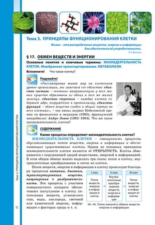 Тема3.ПРИНЦИПЫФУНКЦИОНИРОВАНИЯКЛЕТКИ
72
Ил. 44. Этапы внешнего обмена веществ,
энергии и информации
І этап
→
ІІ этап
→
ІІІ этап
Поток
веществ,
энергии
и инфор-
мации в
клетку
Внутри-
клеточные
преобра-
зования
веществ,
энергии и
информа-
ции
Поток
веществ,
энергии
и инфор-
мации из
клетки
Тема 3.	 ПРИНЦИПЫ ФУНКЦИОНИРОВАНИЯ КЛЕТКИ
Жизнь – это распределение веществ, энергии и информации
для обеспечения её упорядоченности.
К. Свенсон
§ 17.	 ОБМЕН ВЕЩЕСТВ И ЭНЕРГИИ
Основные понятия и ключевые термины: ЖИЗНЕДЕЯТЕЛЬНОСТЬ
КЛЕТОК. Мембранное транспортирование. МЕТАБОЛИЗМ.
Вспомните! 	 Что такое клетка?
	Подумайте!
«Рассматривая живой мир на клеточном
уровне организации, мы замечаем его единство: един­
ство состава – основные макромолекулы у всех жи­
вых существ образованы из одних и тех же малых
молекул, единство строения – каждая клетка со­
держит ядро, погружённое в протоплазму, единство
функций – обмен веществ сходен в общих чертах во
всех клетках», – так писал лауреат Нобелевской пре-
мии по физиологии и медицине (1965), французский
микробиолог Андре Львов (1902–1994). Что же такое
жизнедеятельность клетки?
	СОДЕРЖАНИЕ
	 Какие процессы определяют жизнедеятельность клеток?
ЖИЗНЕДЕЯТЕЛЬНОСТЬ КЛЕТКИ – совокупность процессов,
обусловливающих поток веществ, энергии и информации и обеспе­
чивающих существование клетки. Одним из основных принципов
жизнедеятельности клетки является её ОТКРЫТОСТЬ. Клетка обме-
нивается с окружающей средой веществами, энергией и информацией.
В этом общем обмене можно выделить три этапа: поток в клетку, вну-
триклеточные преобразования и поток из клетки.
Поток веществ, энергии и информации в клетку происходит благода-
ря процессам питания, дыхания,
транспортирования веществ,
пищеварения и раздражитель­
ности. Эти процессы с участием
поверхностного аппарата обеспе-
чивают поступление в клетку пи-
тательных веществ, углекислого
газа, воды, кислорода, световой
или химической энергии, инфор-
мации о факторах среды и т. п.
 