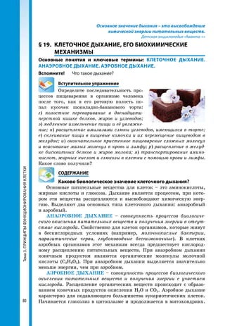 Тема3.ПРИНЦИПЫФУНКЦИОНИРОВАНИЯКЛЕТКИ
80
Основное значение дыхания – это высвобождение
химической энергии питательных веществ.
Детская энциклопедия «Аванта +»
§ 19.	 КЛЕТОЧНОЕ ДЫХАНИЕ, ЕГО БИОХИМИЧЕСКИЕ
МЕХАНИЗМЫ
Основные понятия и ключевые термины: КЛЕТОЧНОЕ ДЫХАНИЕ.
АНАЭРОБНОЕ ДЫХАНИЕ. АЭРОБНОЕ ДЫХАНИЕ.
Вспомните!	 Что такое дыхание?
	 Вступительное упражнение
Определите последовательность про-
цессов пищеварения в организме человека
после того, как в его ротовую полость по-
пал кусочек шоколадно-бананового торта:
г) полостное переваривание в двенадцати­
перстной кишке белков, жиров и углеводов;
э) медленное измельчение пищи и её увлажне­
ние; н) расщепление амилазами слюны углеводов, имеющихся в торте;
е) склеивание пищи в пищевые комочки и их перемещение пищеводом в
желудок; и) окончательное пристенное пищеварение сложных молекул
и всасывание малых молекул в кровь и лимфу; р) расщепление в желуд­
ке бисквитных белков и жиров молока; я) транспортирование амино­
кислот, жирных кислот и глюкозы в клетки с помощью крови и лимфы.
Какое слово получили?
	СОДЕРЖАНИЕ
	 Каково биологическое значение клеточного дыхания?
Основные питательные вещества для клеток – это аминокислоты,
жирные кислоты и глюкоза. Дыхание является процессом, при кото-
ром эти вещества расщепляются и высвобождают химическую энер-
гию. Выделяют два основных типа клеточного дыхания: анаэробный
и аэробный.
АНАЭРОБНОЕ ДЫХАНИЕ – совокупность процессов биологиче­
ского окисления питательных веществ и получения энергии в отсут­
ствие кислорода. Свойственно для клеток организмов, которые живут
в бескислородных условиях (например, молочнокислые бактерии,
паразитические черви, глубоководные беспозвоночные). В клетках
аэробных организмов этот механизм всегда предшествует кислород-
ному расщеплению питательных веществ. При анаэробном дыхании
конечным продуктом являются органические молекулы молочной
кислоты (C3H6O3). При анаэробном дыхании выделяется значительно
меньше энергии, чем при аэробном.
АЭРОБНОЕ ДЫХАНИЕ – совокупность процессов биологического
окисления питательных веществ и получения энергии с участием
кислорода. Расщепление органических веществ происходит с образо-
ванием конечных продуктов окисления Н2О и СО2. Аэробное дыхание
характерно для подавляющего большинства эукариотических клеток.
Начинается гликолиз в цитоплазме и продолжается в митохондриях.
 