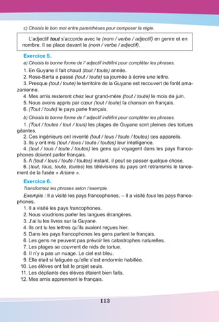 113
c) Choisis le bon mot entre parenthèses pour composer la règle.
L’adjectif tout s’accorde avec le (nom / verbe / adjectif) en genre et en
nombre. Il se place devant le (nom / verbe / adjectif).
Exercice 5.
a)	Choisis la bonne forme de l’ adjectif indéfini pour compléter les phrases.
1.	En Guyane il fait chaud (tout / toute) année.
2.	Rose-Berta a passé (tout / toute) sa journée à écrire une lettre.
3.	Presque (tout / toute) le territoire de la Guyane est recouvert de forêt ama-
zonienne.
4.	Mes amis resteront chez leur grand-mère (tout / toute) le mois de juin.
5.	Nous avons appris par cœur (tout / toute) la chanson en français.
6.	(Tout / toute) le pays parle français.
b)	Choisis la bonne forme de l’ adjectif indéfini pour compléter les phrases.
1.	(Tout / toutes / tout / tous) les plages de Guyane sont pleines des tortues
géantes.
2.	Ces ingénieurs ont inventé (tout / tous / toute / toutes) ces appareils.
3.	Ils y ont mis (tout / tous / toute / toutes) leur intelligence.
4.	(tout / tous / toute / toutes) les gens qui voyagent dans les pays franco-
phones doivent parler français.
5.	A (tout / tous / toute / toutes) instant, il peut se passer quelque chose.
6.	(tout, tous, toute, toutes) les télévisions du pays ont retransmis le lance-
ment de la fusée « Ariane ».
Exercice 6.
Transformez les phrases selon l’exemple.
Exemple : Il a visité les pays francophones. – Il a visité tous les pays franco-
phones.
	1.	Il a visité les pays francophones.
	2.	Nous voudrions parler les langues étrangères.
	3.	J’ai lu les livres sur la Guyane.
	4.	Ils ont lu les lettres qu’ils avaient reçues hier.
	5.	Dans les pays francophones les gens parlent le français.
	6.	Les gens ne peuvent pas prévoir les catastrophes naturelles.
	7.	Les plages se couvrent de nids de tortue.
	8. Il n’y a pas un nuage. Le ciel est bleu.
	9.	Elle était si fatiguée qu’elle s’est endormie habillée.
	10.	Les élèves ont fait le projet seuls.
	11.	Les dépliants des élèves étaient bien faits.
	12.	Mes amis apprennent le français.
 