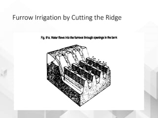 Parallel Furrow Versus Ridge Irrigation_methods__96_slayt.ppt