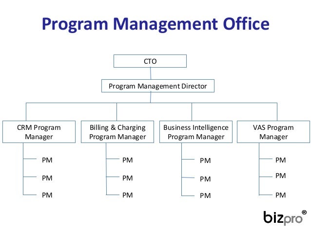 crm program management