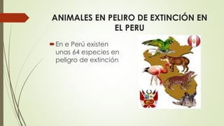 ANIMALES EN PELIRO DE EXTINCIÓN EN 
EL PERU 
En e Perú existen 
unas 64 especies en 
peligro de extinción 
 