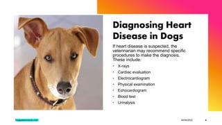 What Dog Breeds Are Prone To Heart Disease