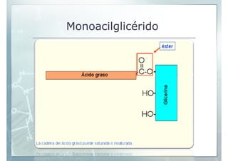 Monoacilglicérido
 