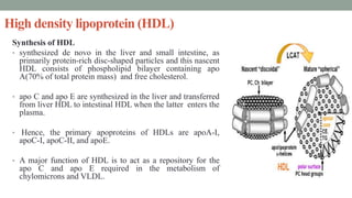 lipoproteins and its metabolism | PPTX