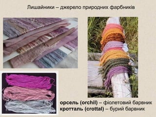 Лишайники – джерело природних фарбників
орсель (orchil) – фіолетовий барвник
кротталь (crottal) – бурий барвник
 