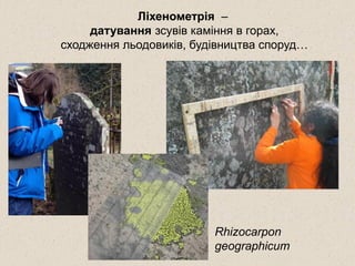 Ліхенометрія –
датування зсувів каміння в горах,
сходження льодовиків, будівництва споруд…
Rhizocarpon
geographicum
 