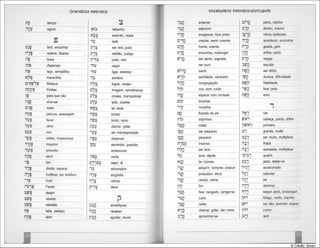 Gramática hebraica (gordon chown)