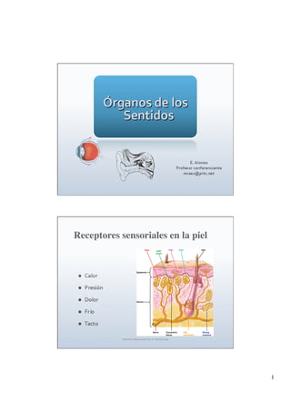 Receptores sensoriales en la piel




            Derechos Reservados Dr. E. Alonso 2009 




                                                      1
 