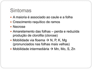 Sintomas
 A maioria é associado ao caule e a folha
 Crescimento raquítico de ramos
 Necrose
 Amarelamento das folhas – perda e reduzida
produção de clorofila (clorose)
 Mobilidade via floema  N, P, K, Mg
(pronunciados nas folhas mais velhas)
 Mobilidade intermediária  Mn, Mo, S, Zn
 